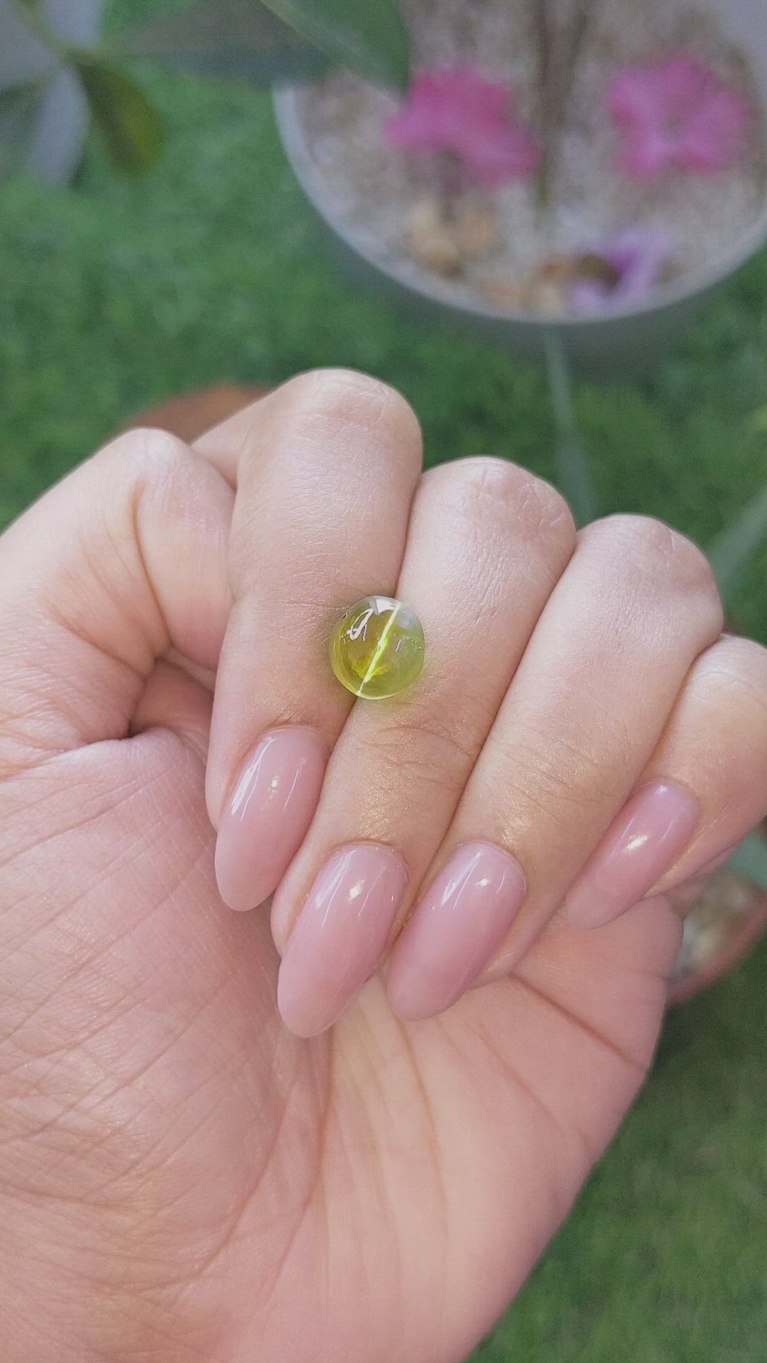 5.66 Ct. Yellowish Green Cabochon Chrysoberyl from Ceylon (Sri Lanka) Size Video