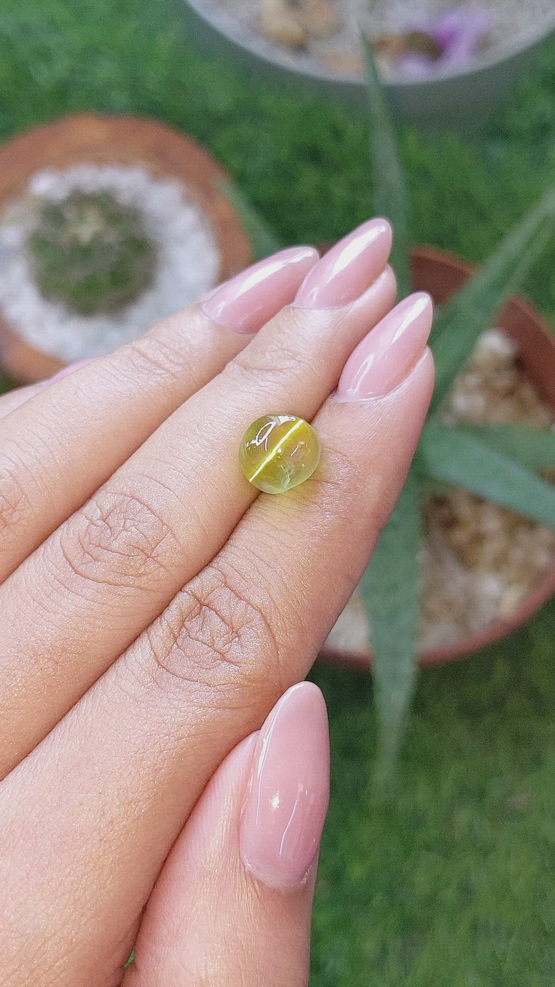 5.66 Ct. Yellowish Green Cabochon Chrysoberyl from Ceylon (Sri Lanka) Size Video