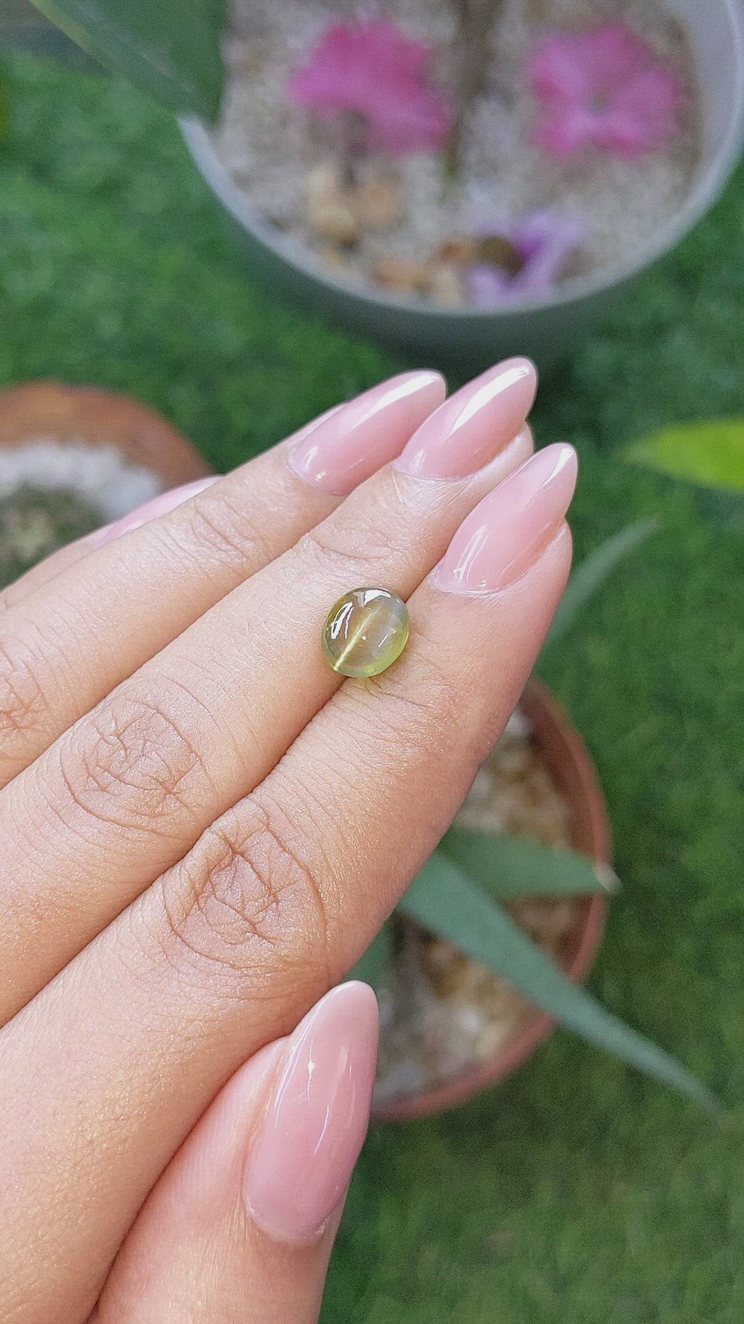 2.87 Ct. Yellowish Green Cabochon Chrysoberyl from Ceylon (Sri Lanka) Size Video