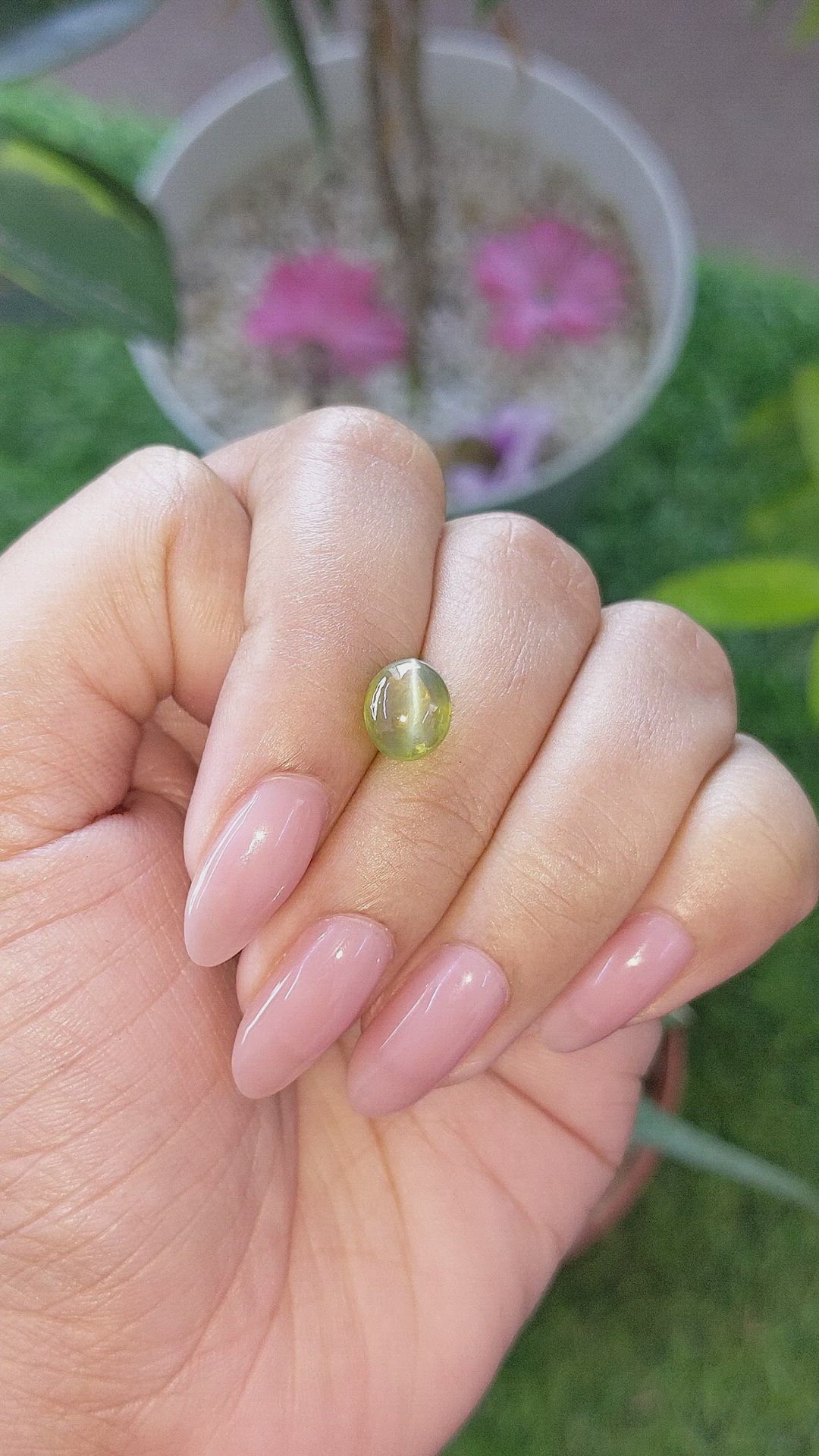 2.87 Ct. Yellowish Green Cabochon Chrysoberyl from Ceylon (Sri Lanka) Size Video