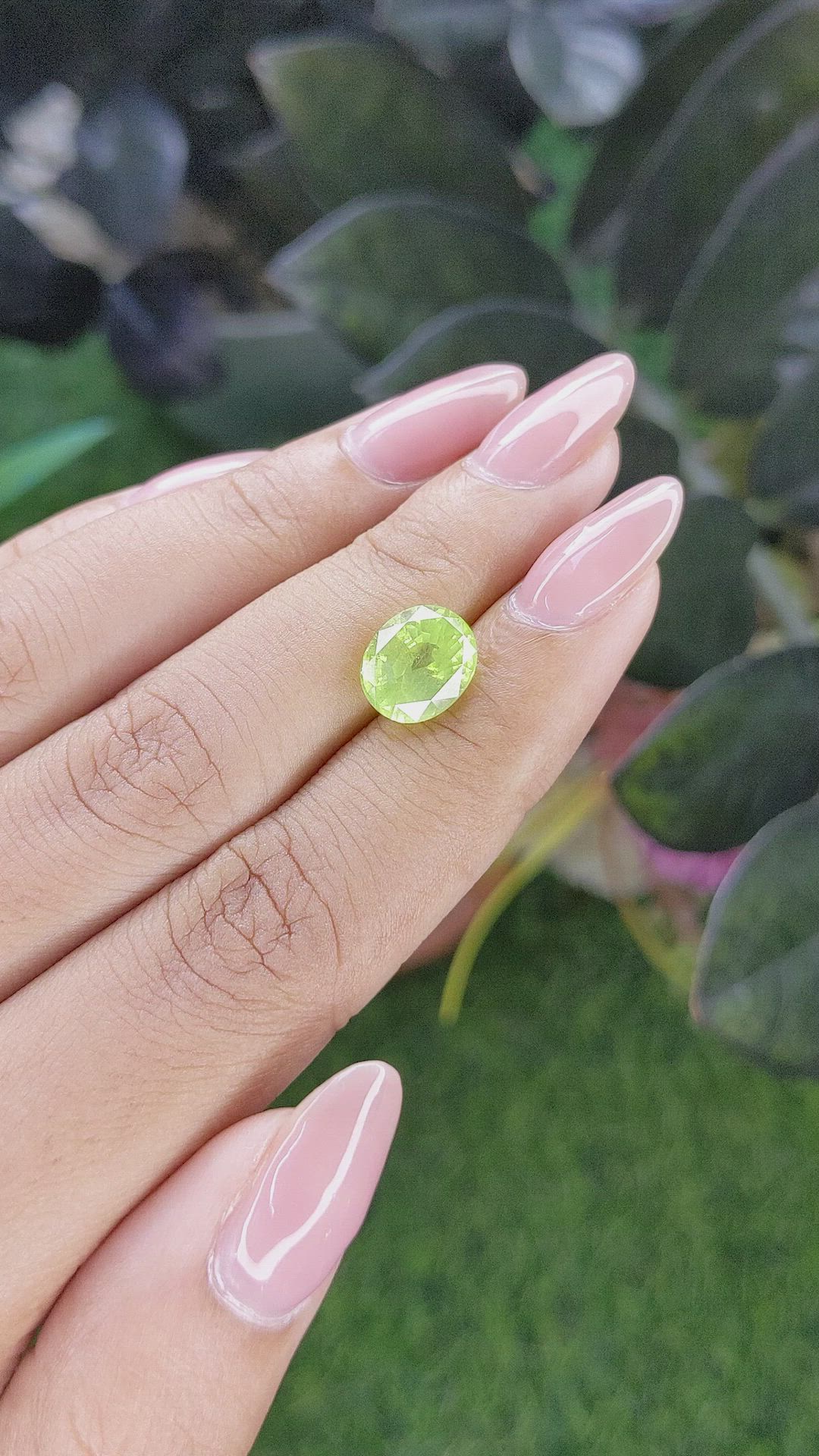 3.64 Ct. Green Chrysoberyl from Ceylon (Sri Lanka) Size Video