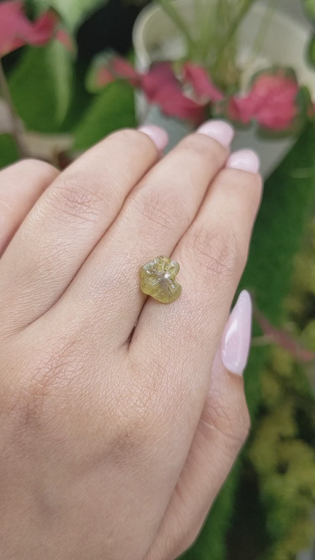 4.14 Ct. Yellowish Green Chrysoberyl from Ceylon (Sri Lanka) Size Video