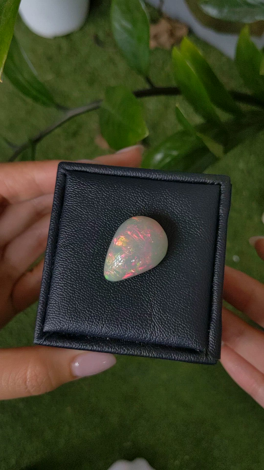 23.56 Ct. Multi Color Cabochon White Opal from Australia Size Video