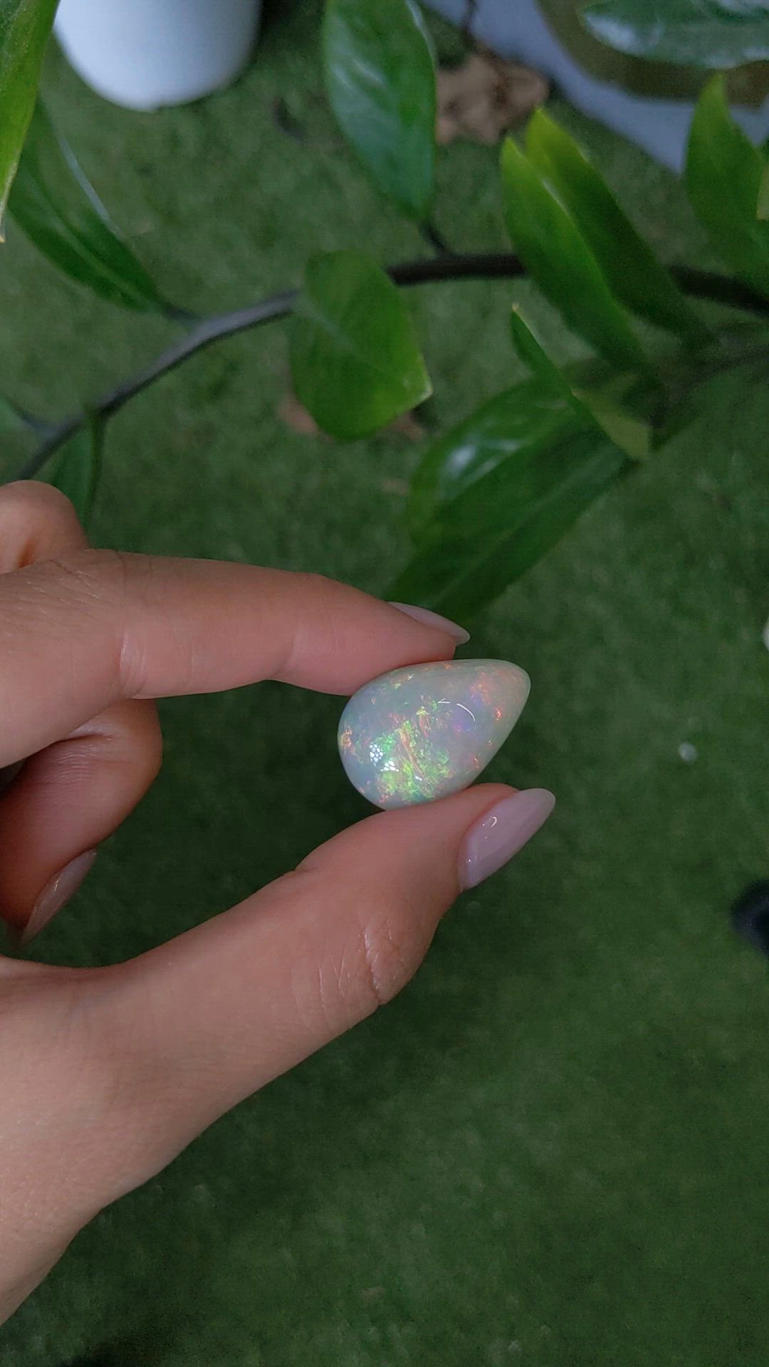 23.56 Ct. Multi Color Cabochon White Opal from Australia Size Video
