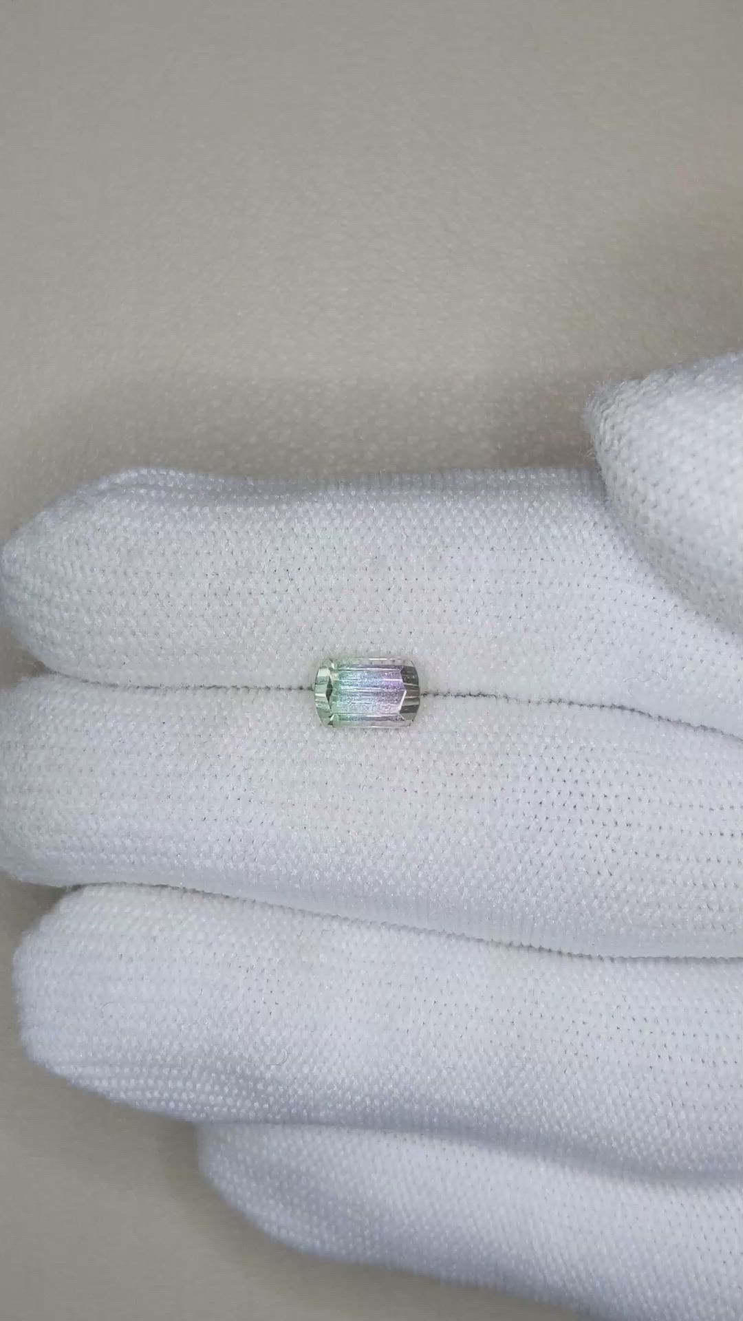 1.33 Ct. Bi Color Tourmaline from Mozambique Size Video