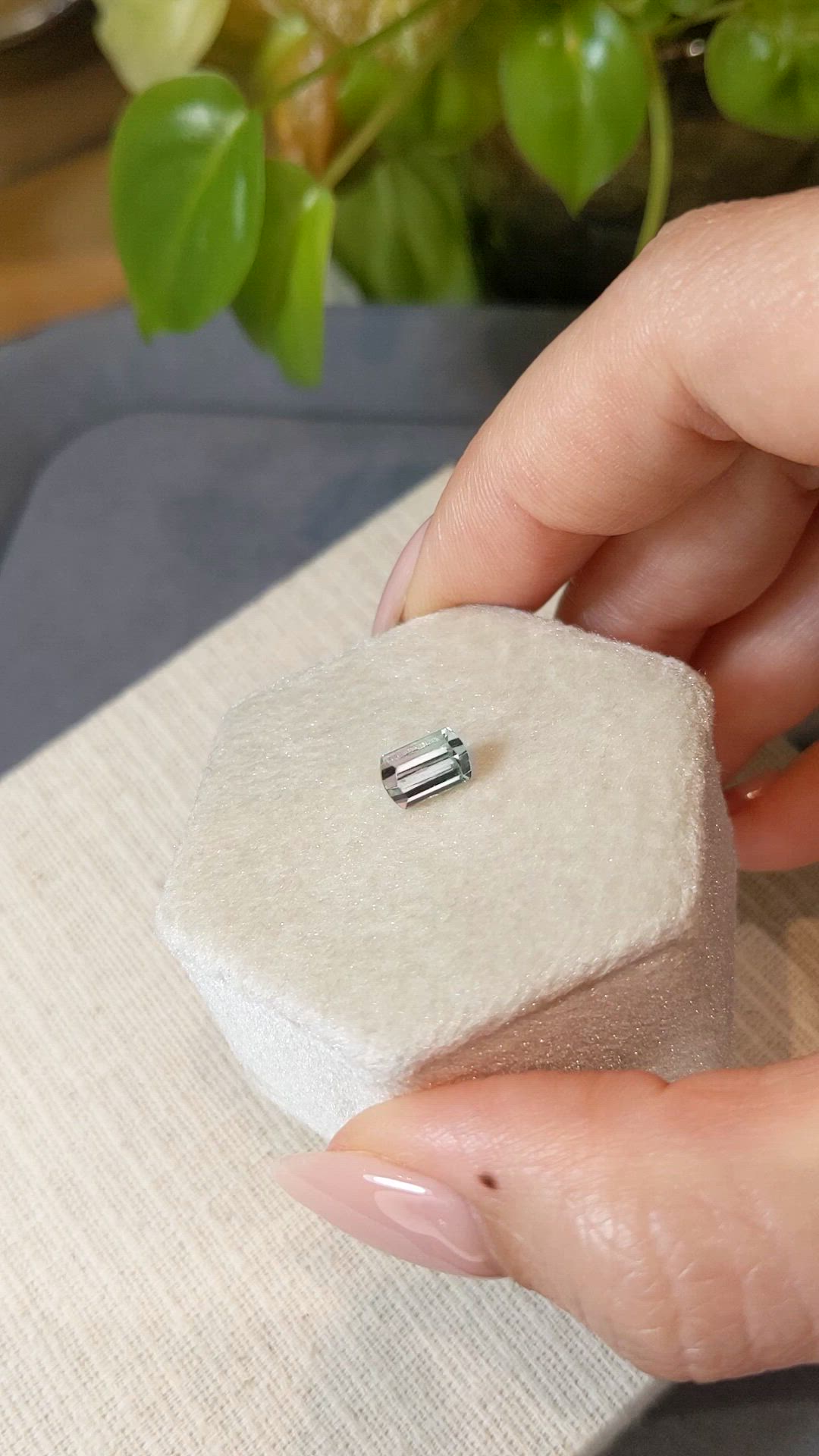 1.33 Ct. Bi Color Tourmaline from Mozambique Size Video