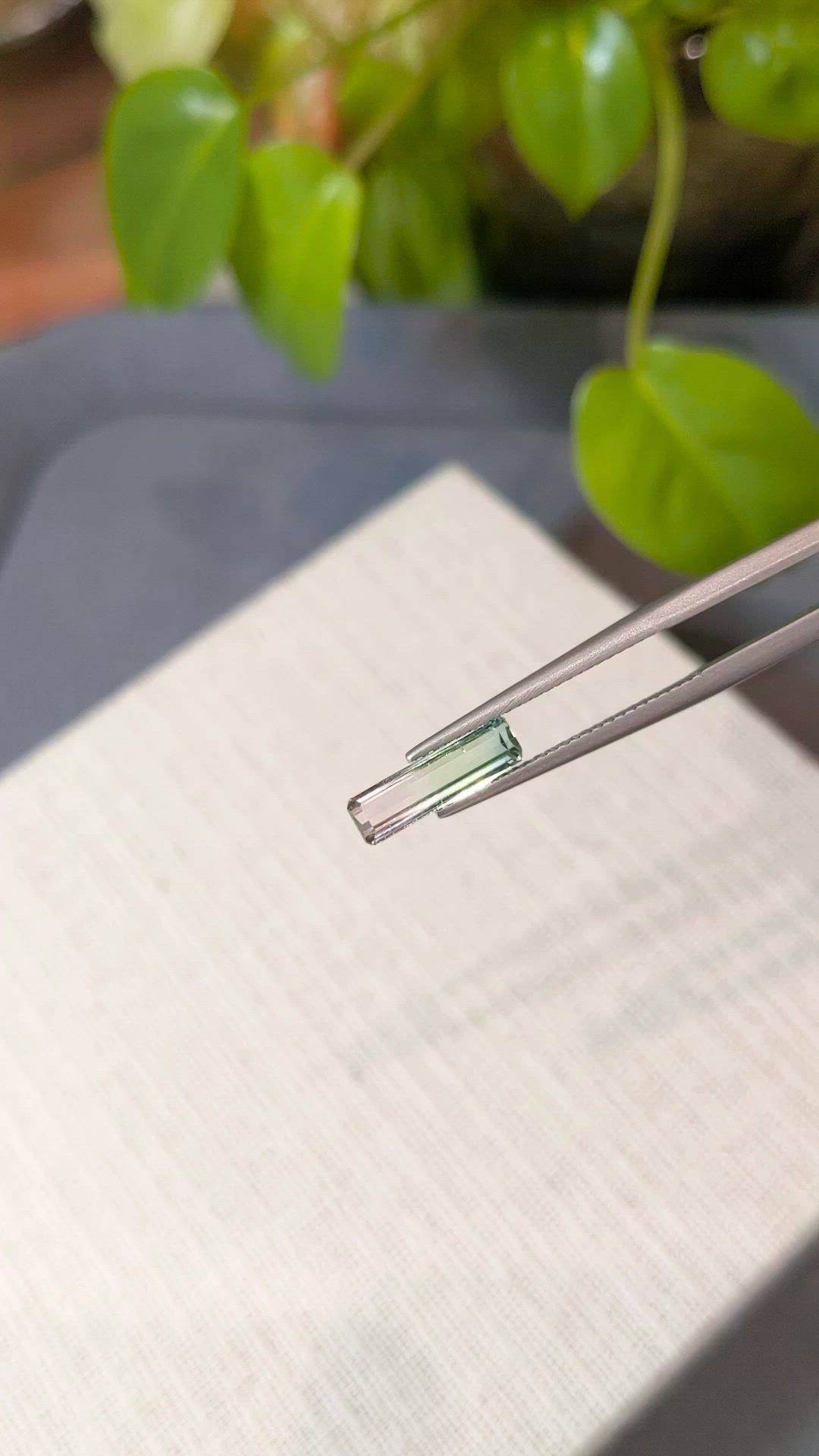 1.14 Ct. Bi Color Tourmaline from Mozambique Size Video