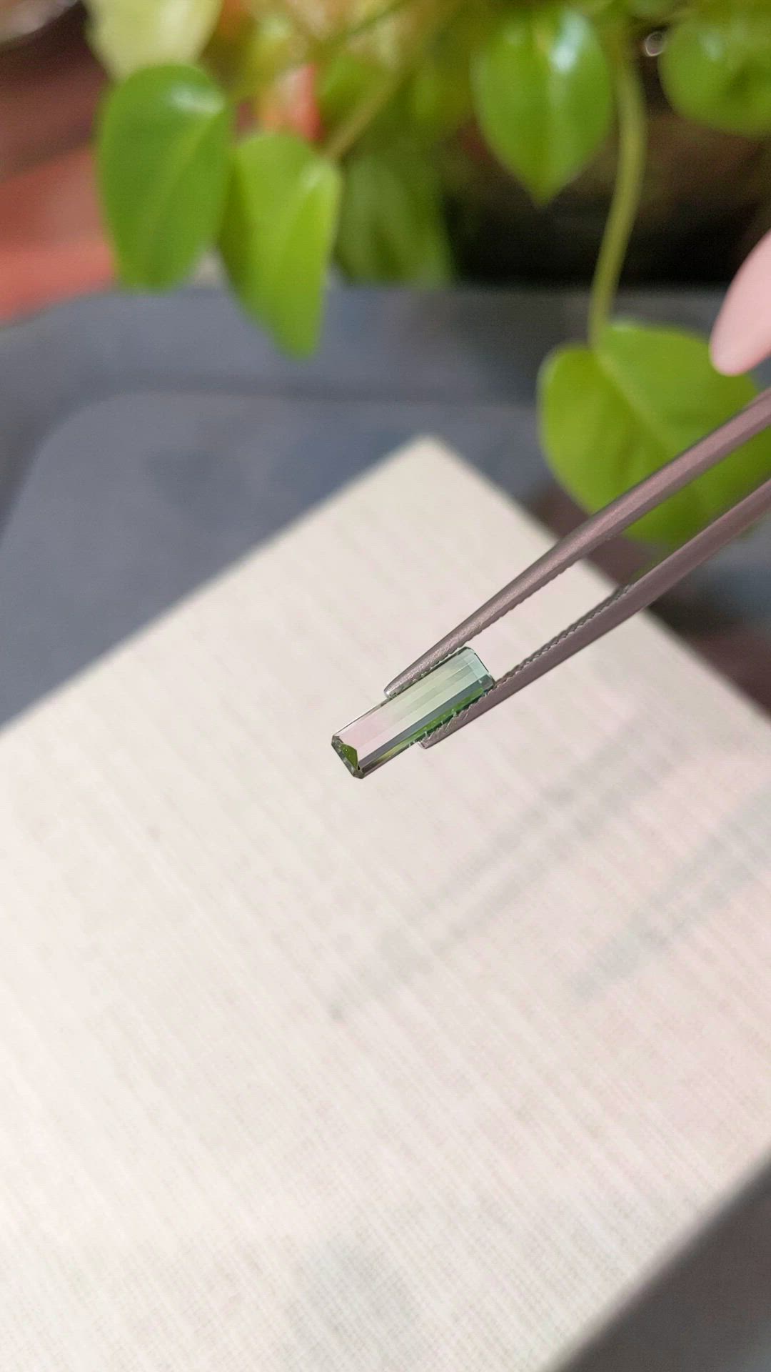 1.14 Ct. Bi Color Tourmaline from Mozambique Size Video