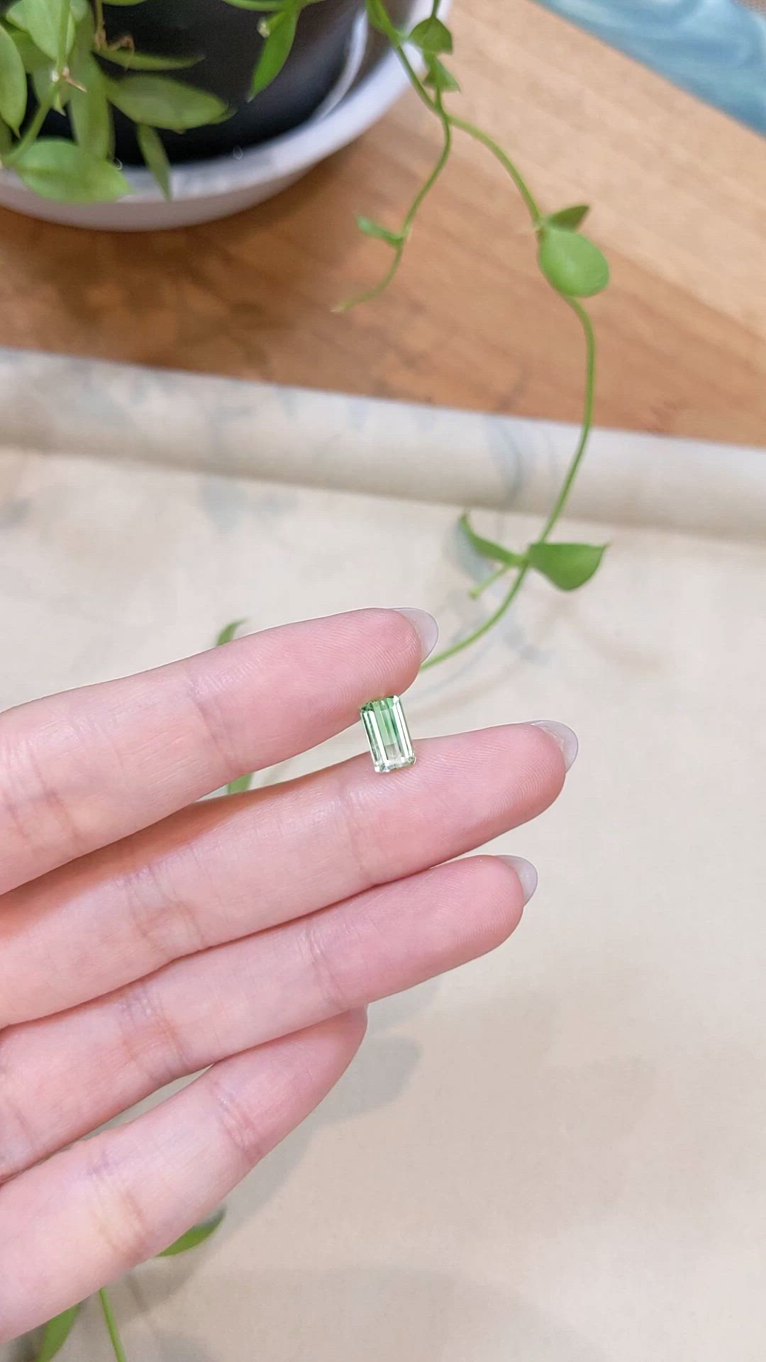 1.39 Ct. Bi Color Tourmaline from Mozambique Size Video