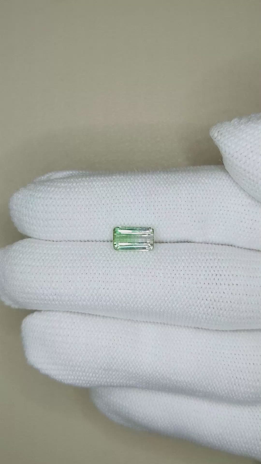 1.39 Ct. Bi Color Tourmaline from Mozambique Size Video