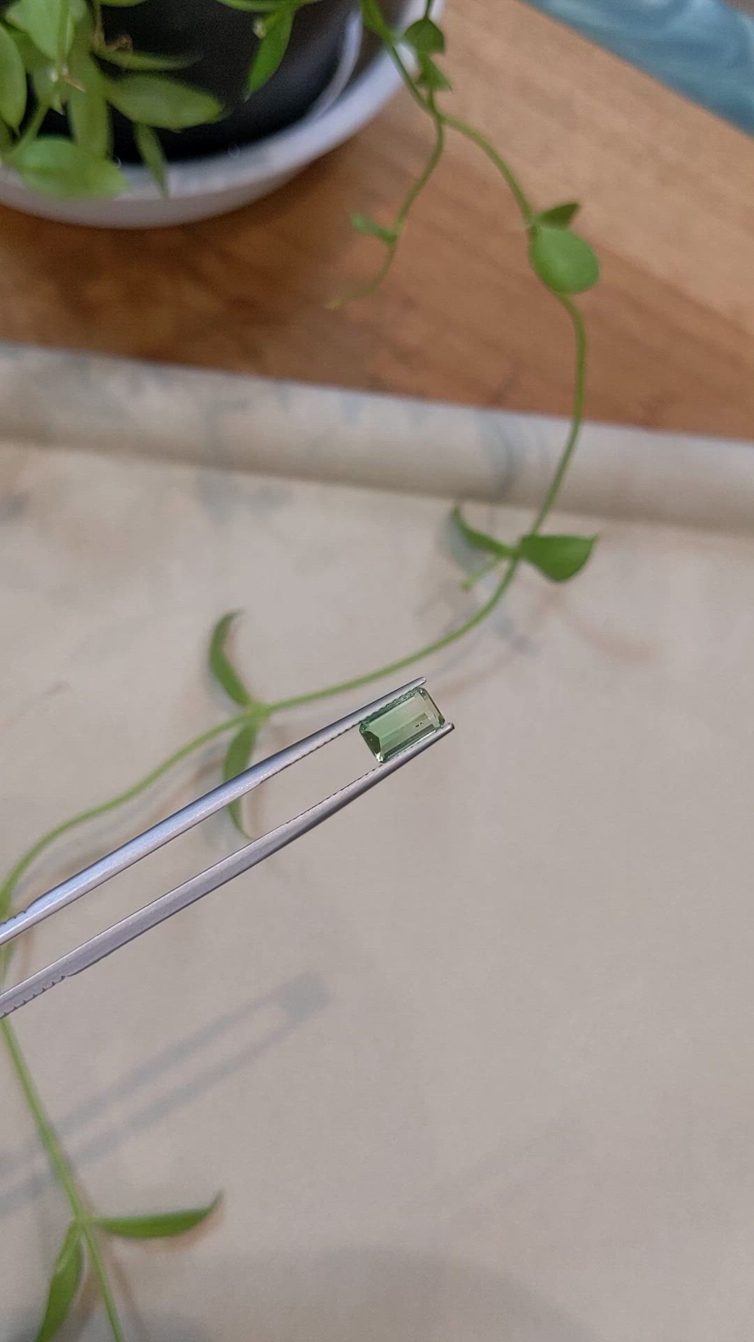 1.39 Ct. Bi Color Tourmaline from Mozambique Size Video