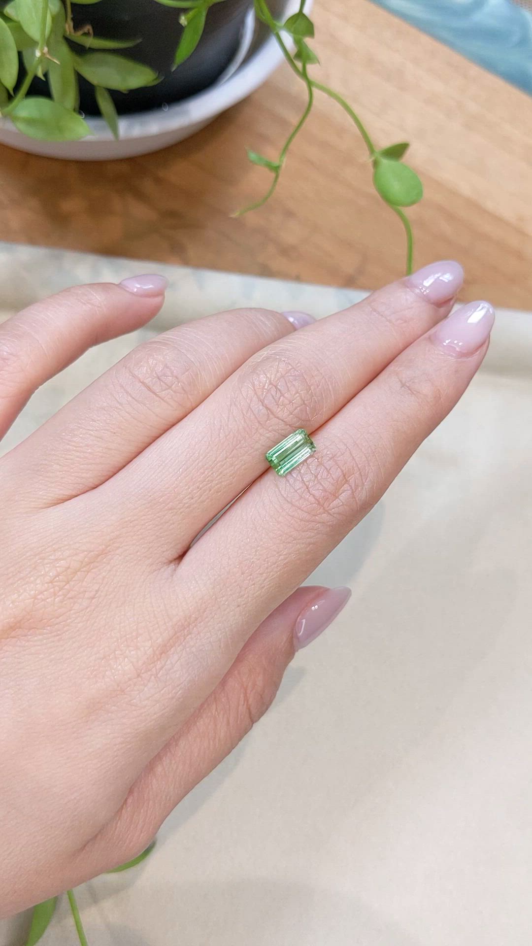 1.39 Ct. Bi Color Tourmaline from Mozambique Size Video