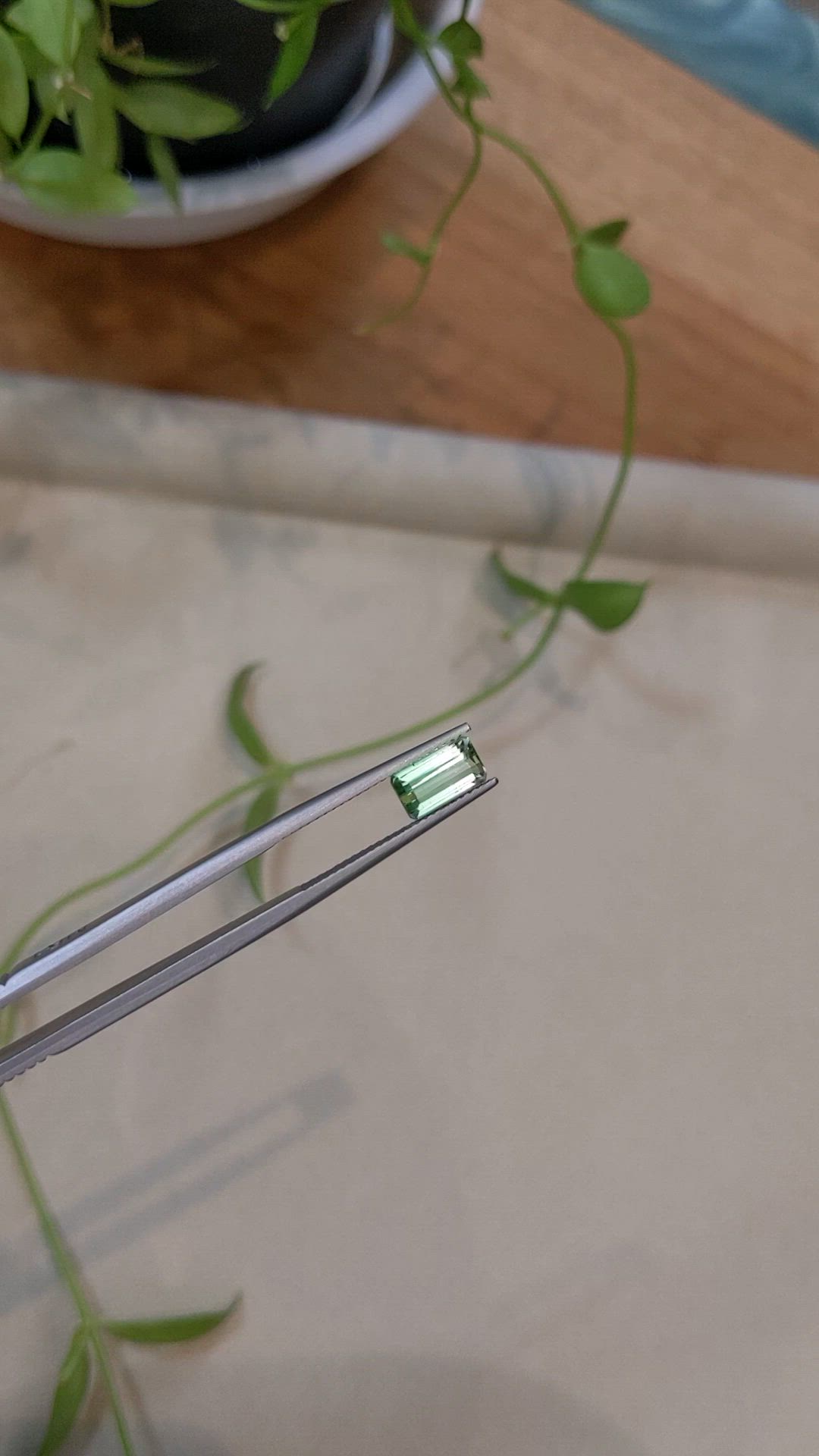 1.39 Ct. Bi Color Tourmaline from Mozambique Size Video