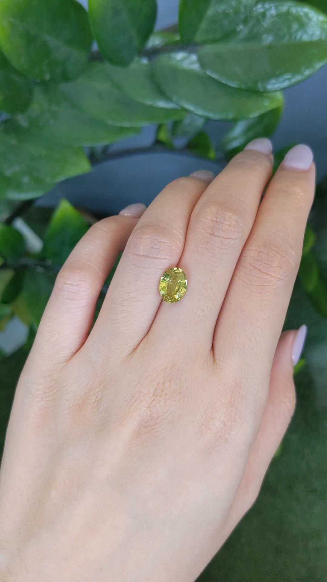 2.26 Ct. Greenish Brown Sphene (Titanite) from Madagascar Size Video