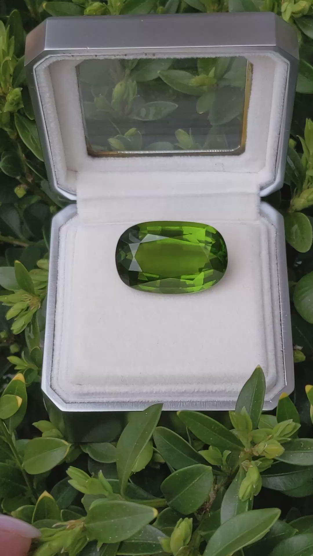 50.61 Ct. Green Peridot from Burma (Myanmar) Size Video