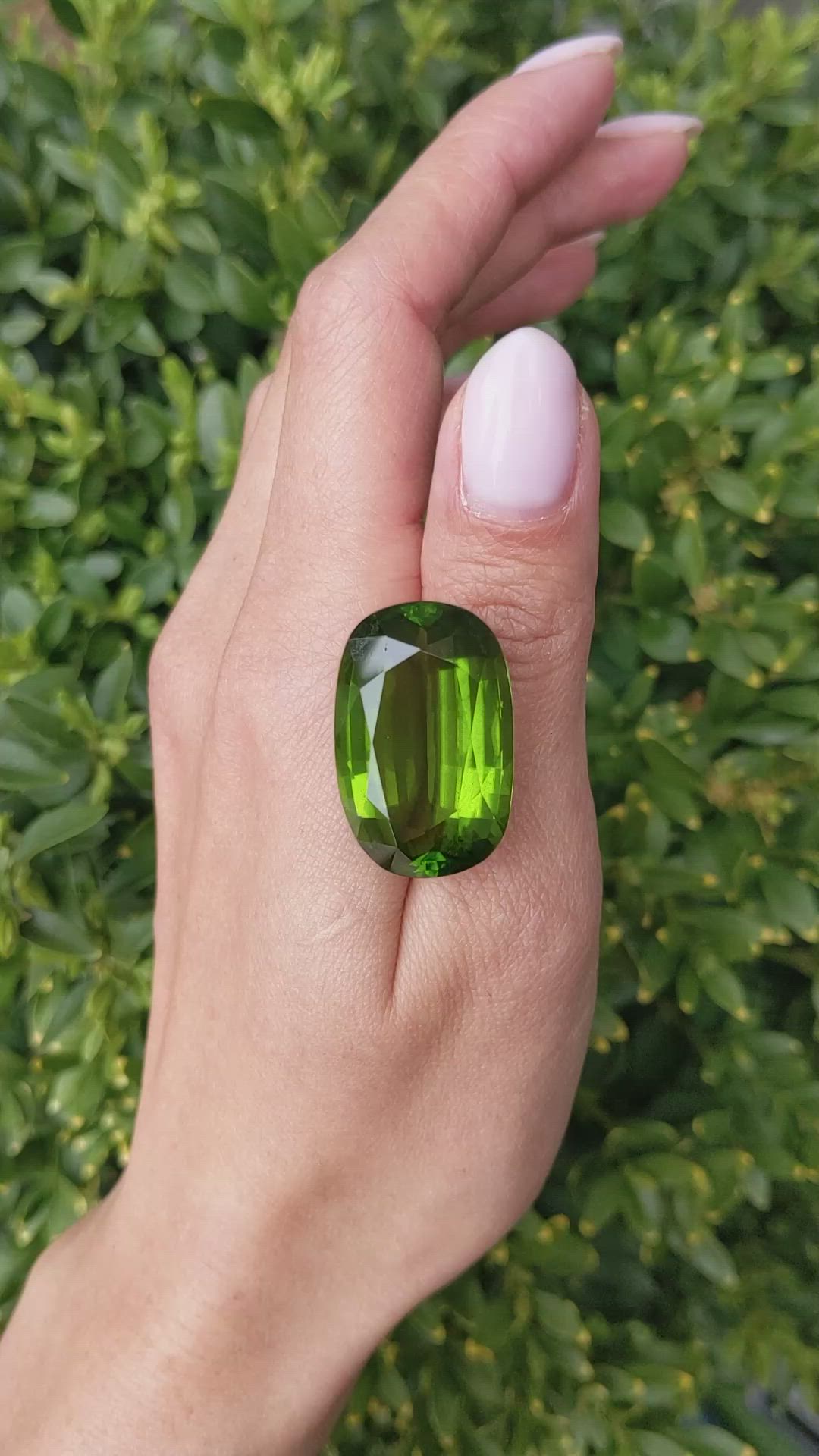 50.61 Ct. Green Peridot from Burma (Myanmar) Size Video