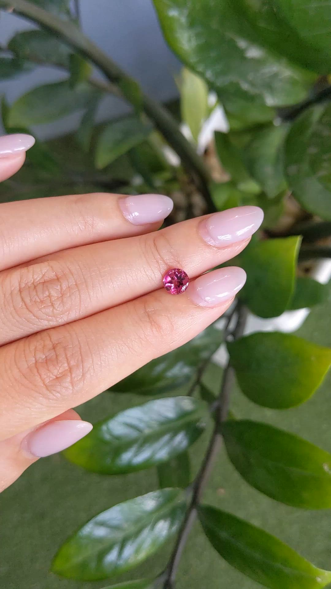 0.84 Ct. Pink Cabochon Tourmaline from Mozambique Size Video