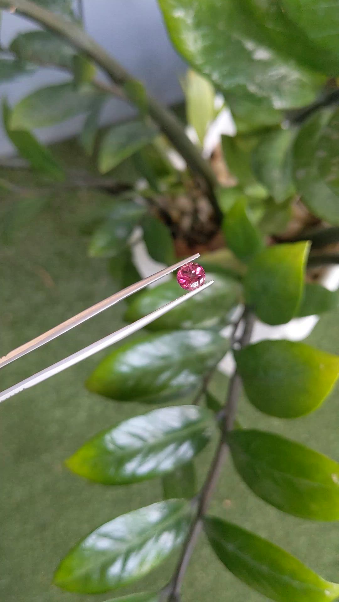0.84 Ct. Pink Cabochon Tourmaline from Mozambique Size Video