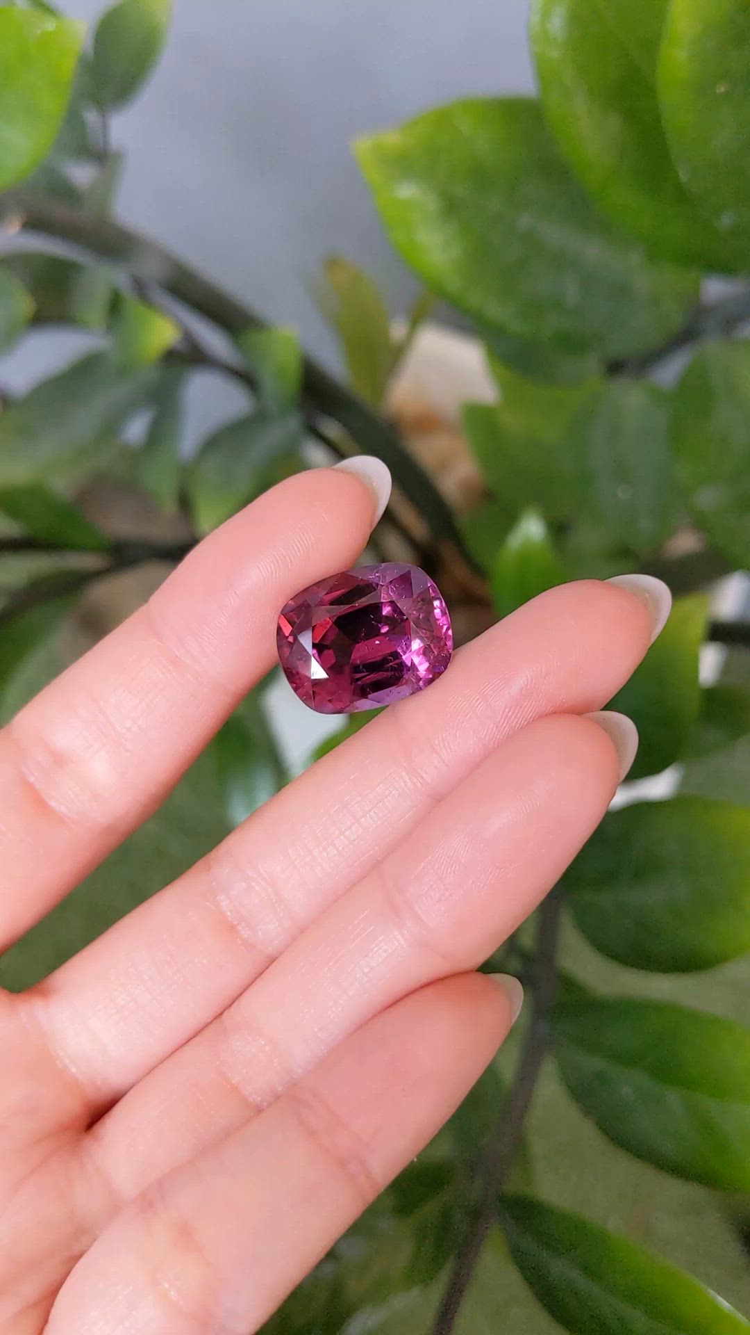 16.32 Ct. Purplish Pink Tourmaline from Mozambique Size Video