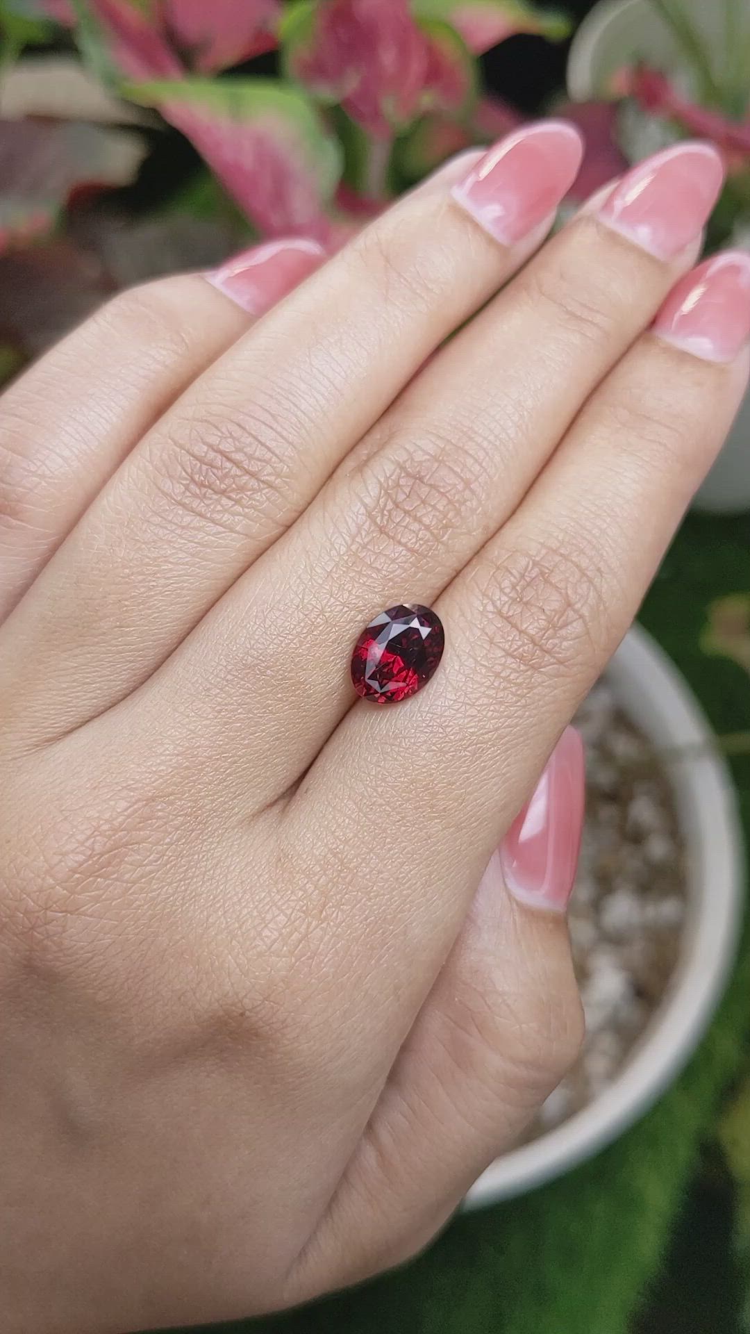3.38 Ct. Red Garnet from Ceylon (Sri Lanka) Size Video