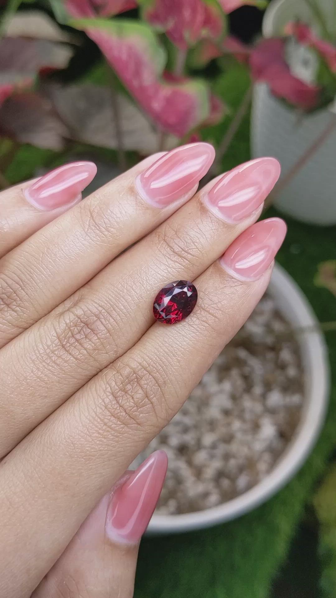 3.38 Ct. Red Garnet from Ceylon (Sri Lanka) Size Video