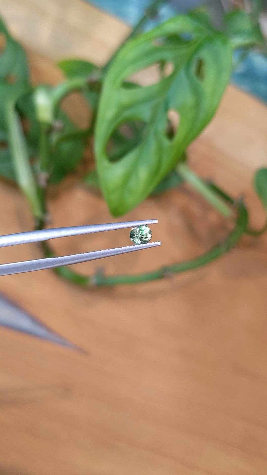 0.33 Ct. Alexandrite from Tanzania Size Video