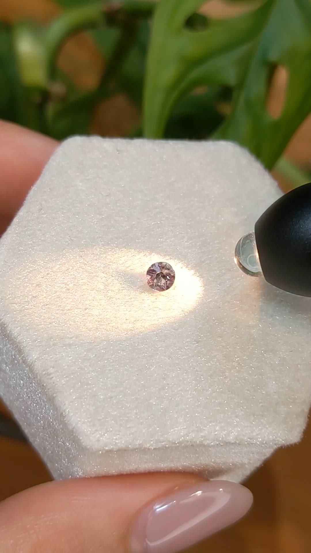 0.22 Ct. Alexandrite from Tanzania Size Video