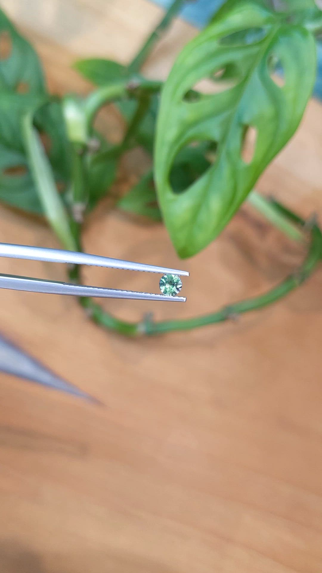 0.22 Ct. Alexandrite from Tanzania Size Video