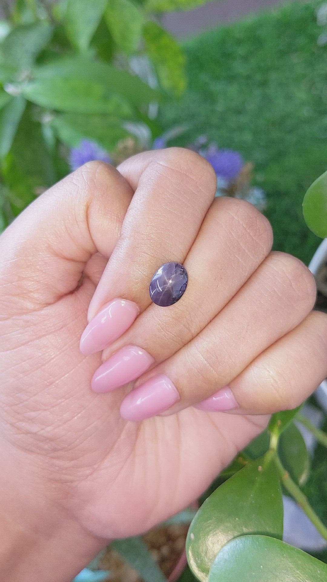 4.05 Ct. Purple Star Spinel from Ceylon (Sri Lanka) Size Video
