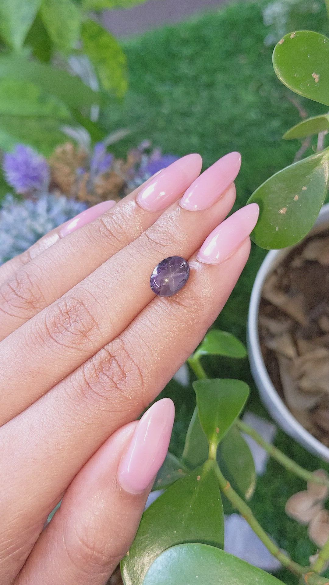 4.05 Ct. Purple Star Spinel from Ceylon (Sri Lanka) Size Video