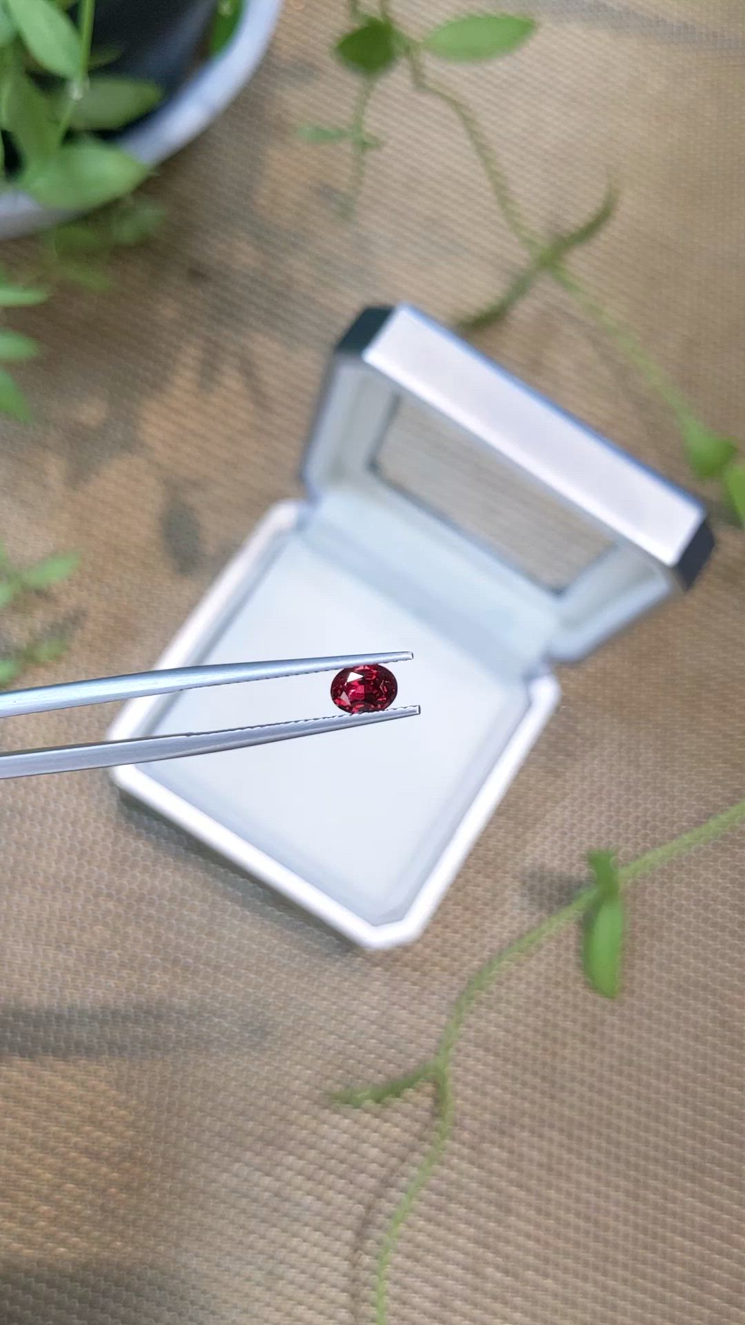 0.65 Ct. Red Spinel from Burma (Myanmar) Size Video