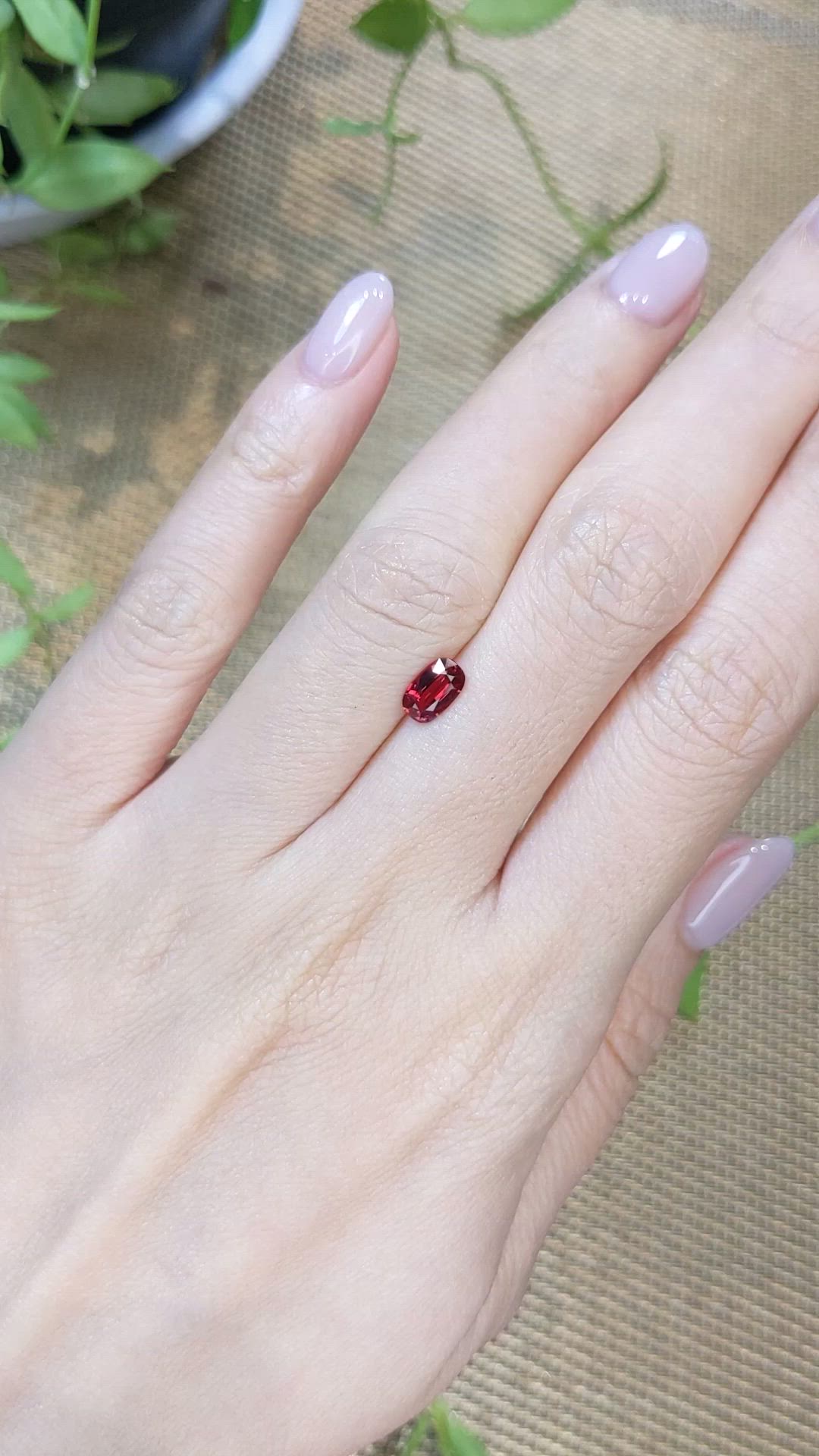 0.66 Ct. Red Spinel from Burma (Myanmar) Size Video