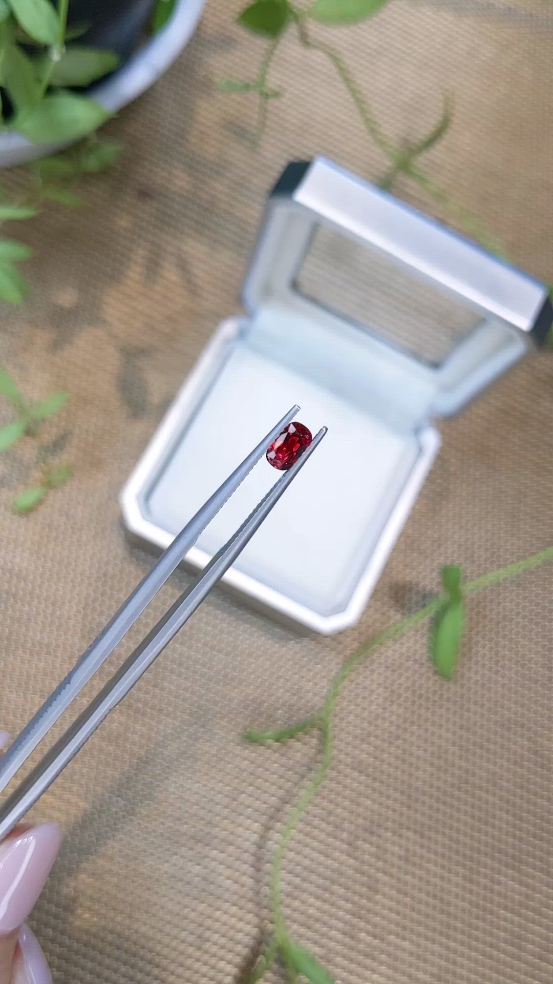 0.55 Ct. Red Spinel from Burma (Myanmar) Size Video