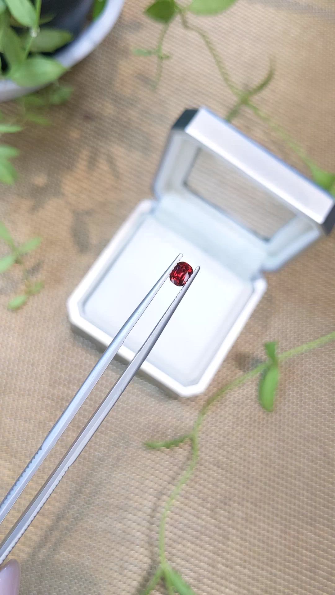 0.37 Ct. Red Spinel from Burma (Myanmar) Size Video