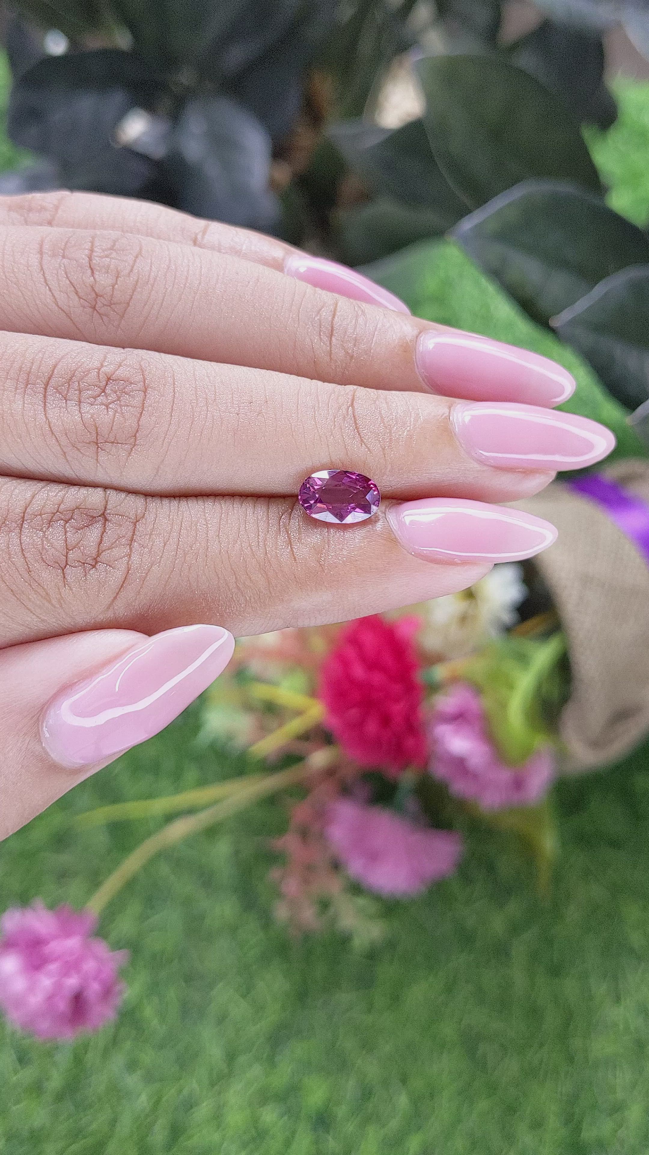 1.48 Ct. Purplish Pink Rhodolite Garnet from Ceylon (Sri Lanka) Size Video