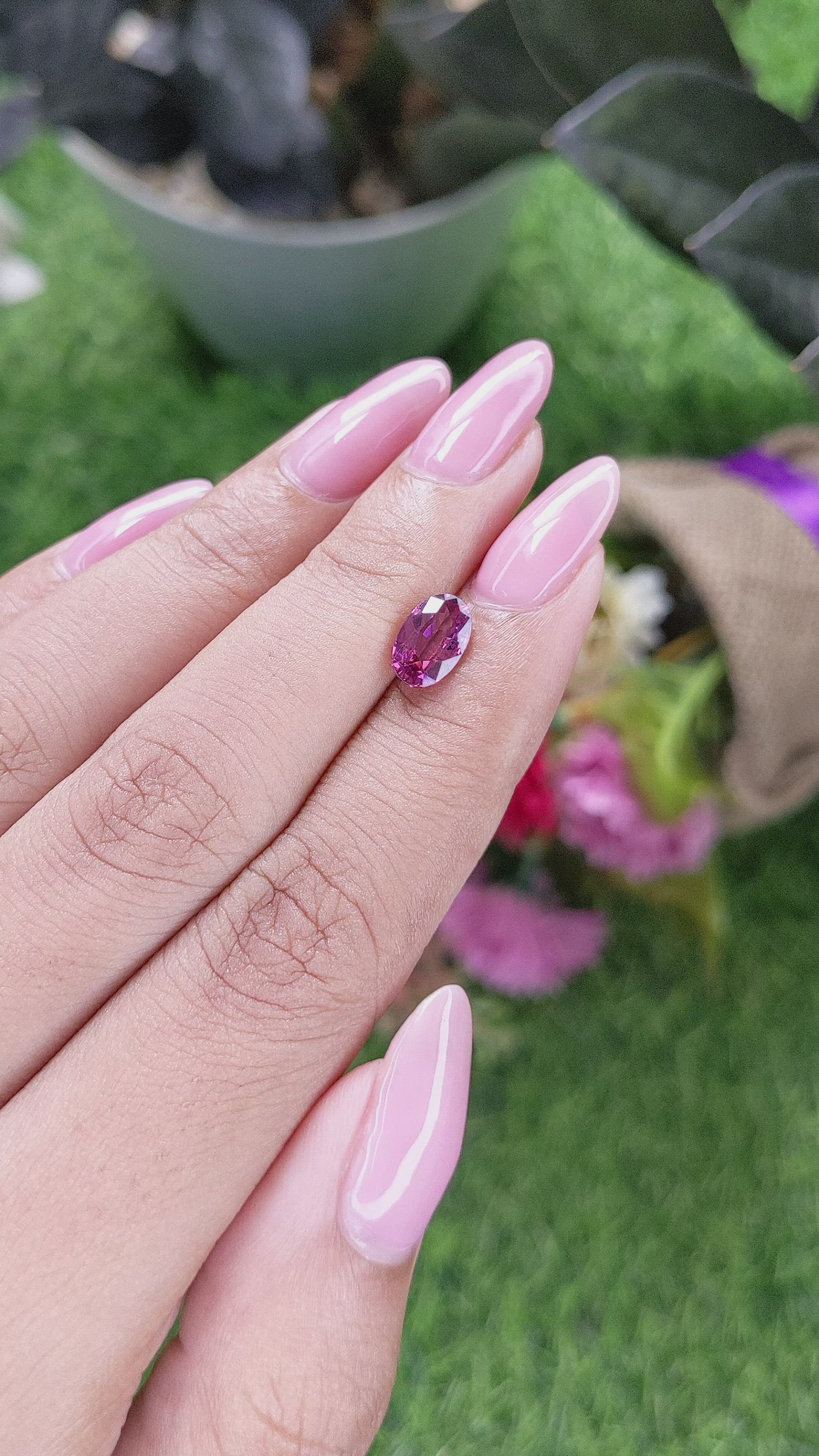 1.48 Ct. Purplish Pink Rhodolite Garnet from Ceylon (Sri Lanka) Size Video