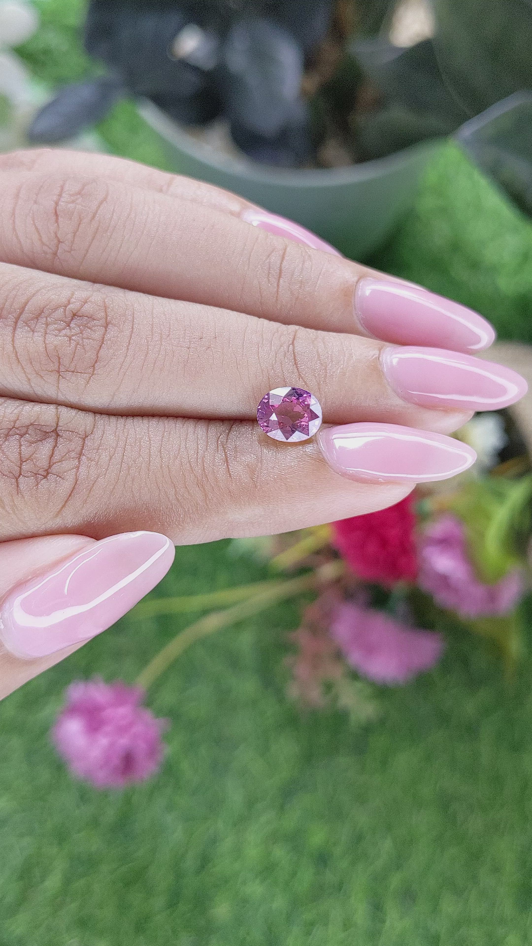 1.55 Ct. Purplish Pink Rhodolite Garnet from Ceylon (Sri Lanka) Size Video