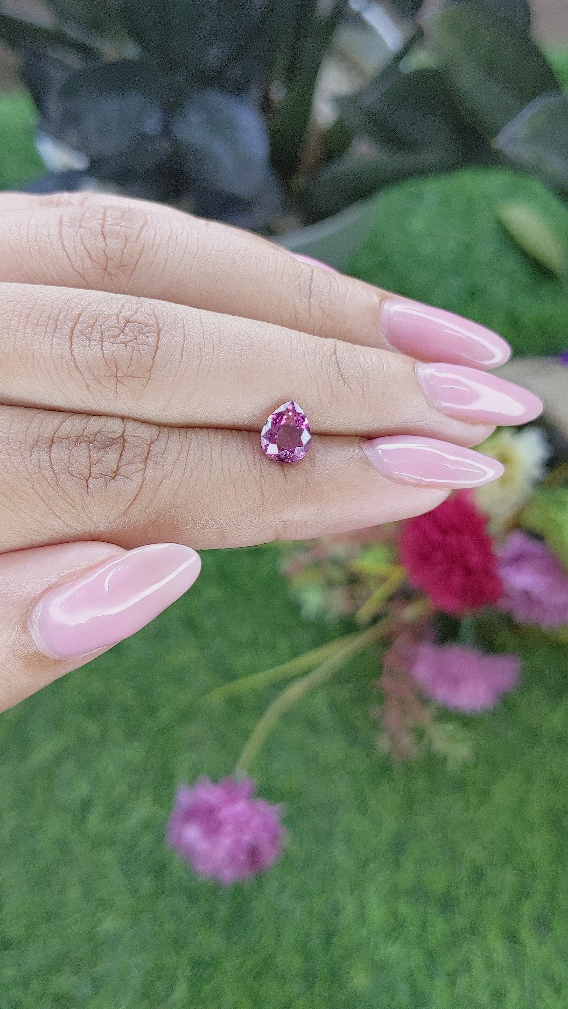 1.53 Ct. Purplish Pink Rhodolite Garnet from Ceylon (Sri Lanka) Size Video