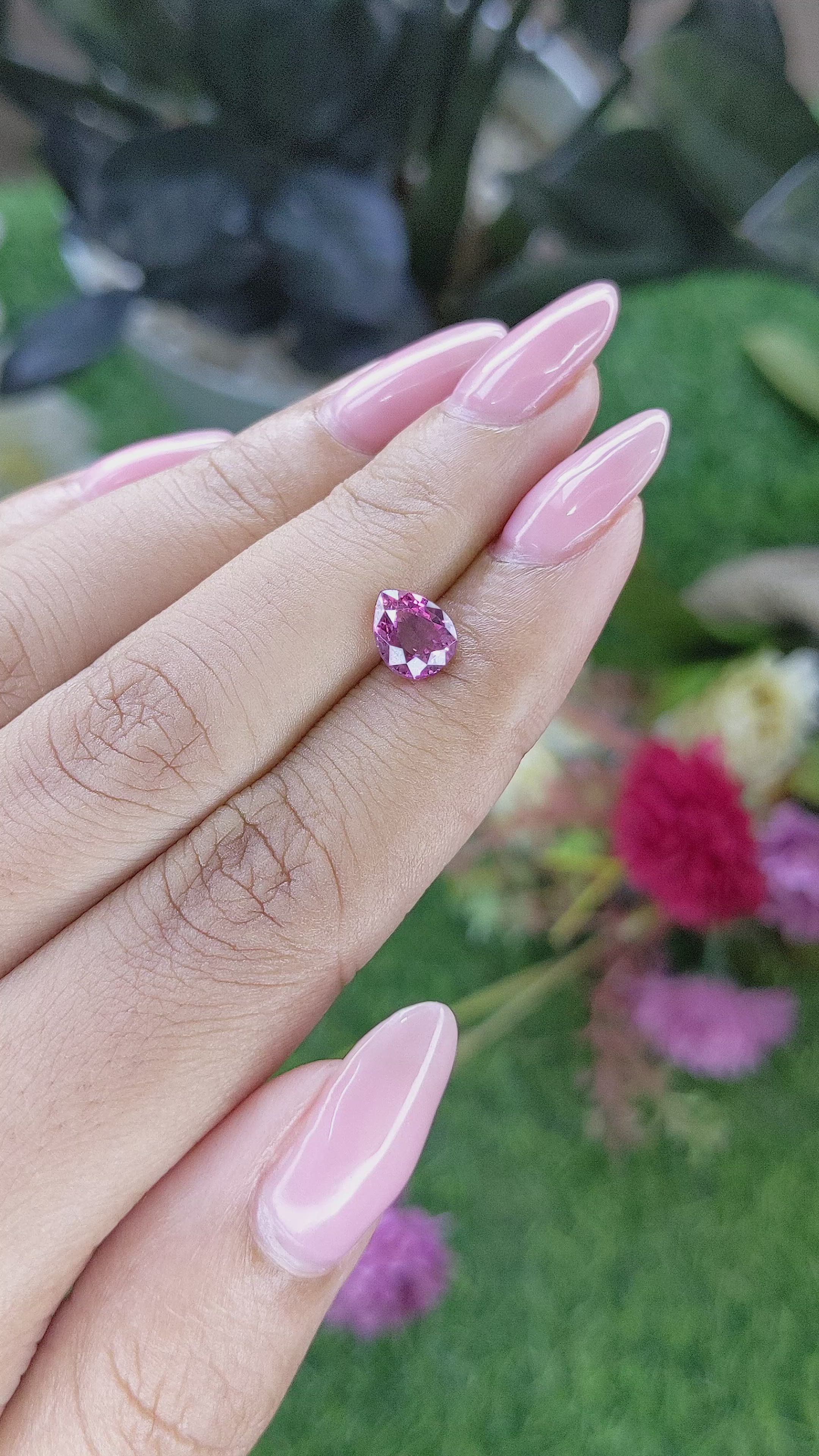1.53 Ct. Purplish Pink Rhodolite Garnet from Ceylon (Sri Lanka) Size Video