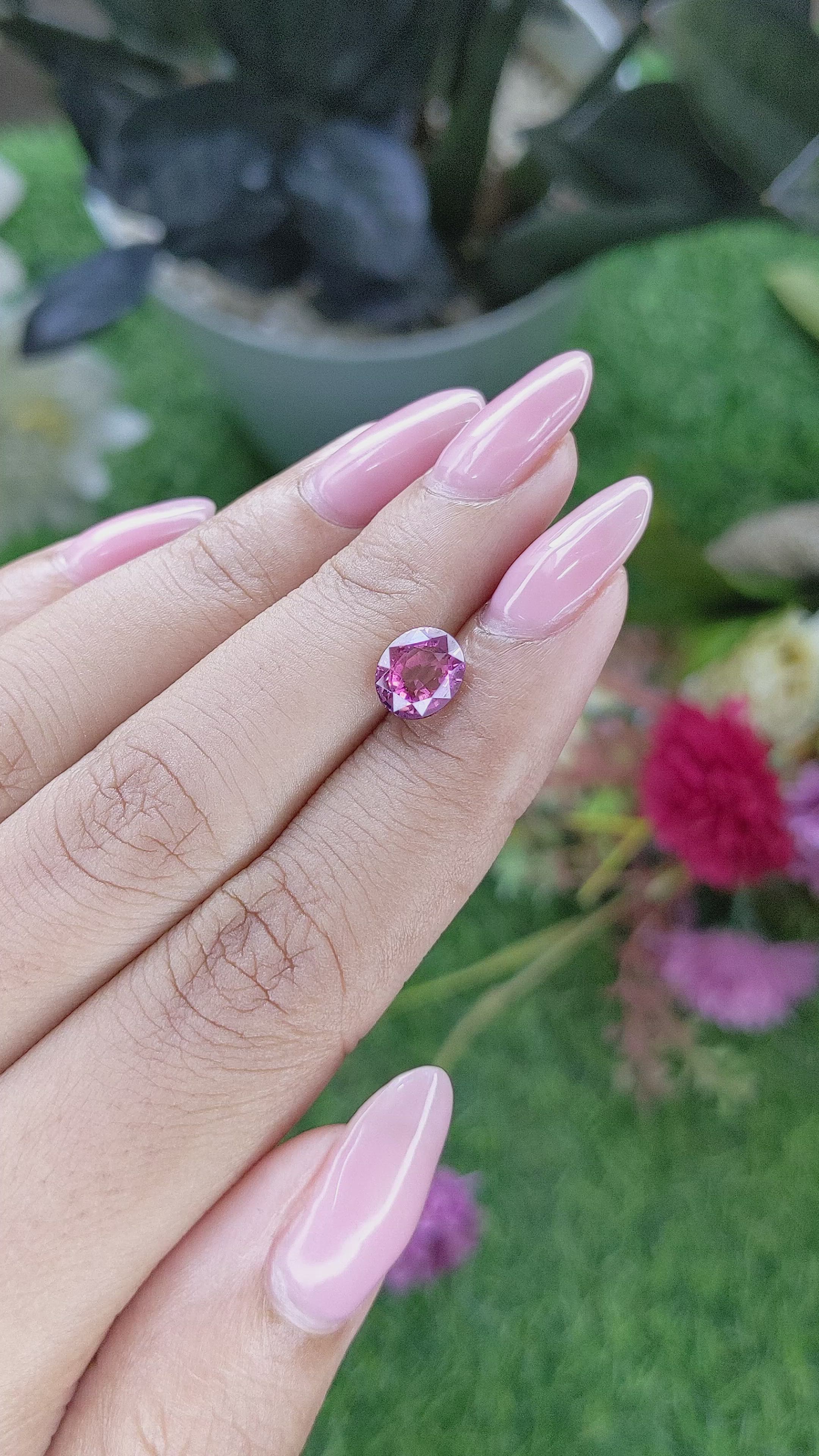 1.95 Ct. Purplish Pink Rhodolite Garnet from Ceylon (Sri Lanka) Size Video