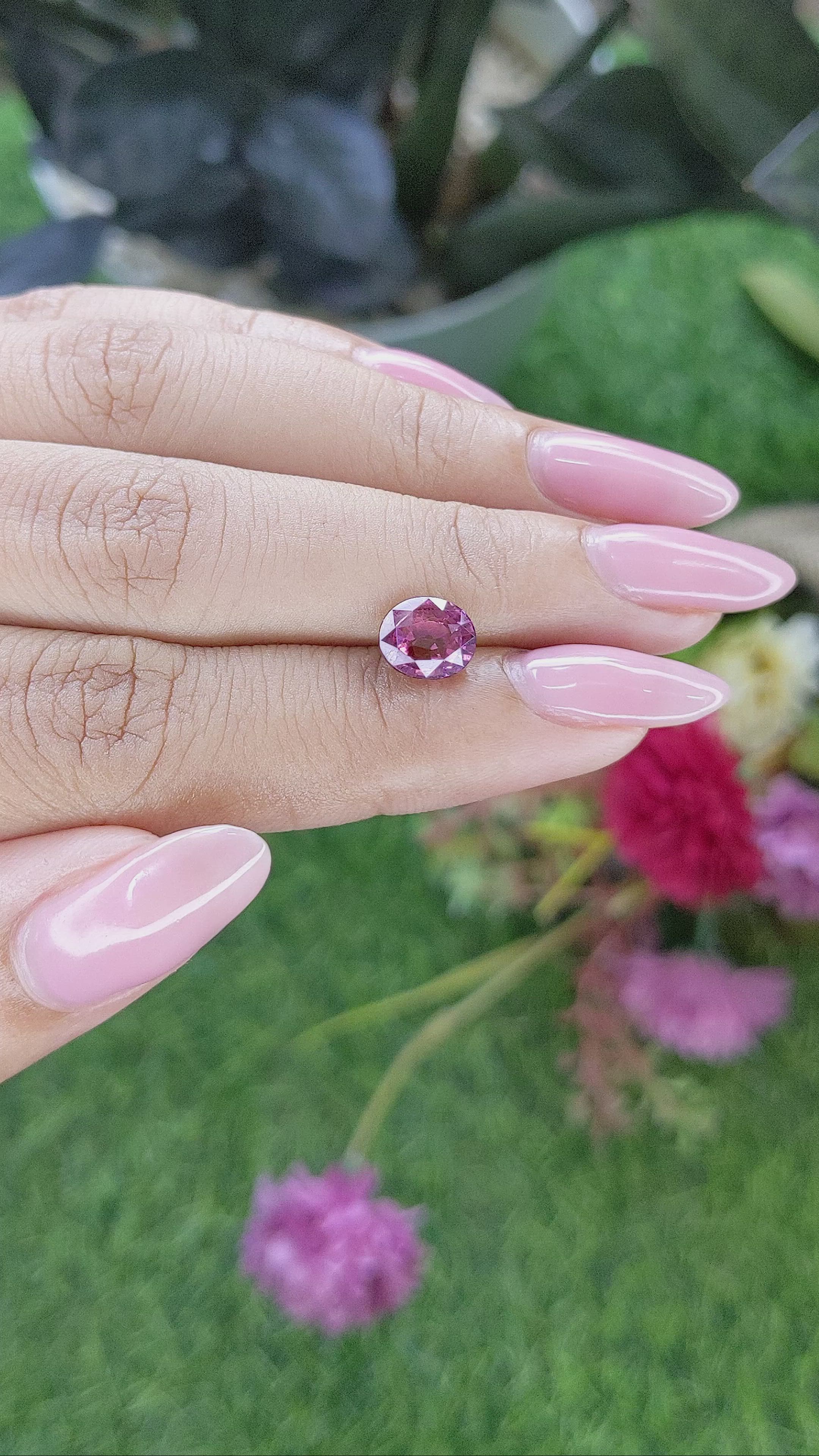1.95 Ct. Purplish Pink Rhodolite Garnet from Ceylon (Sri Lanka) Size Video