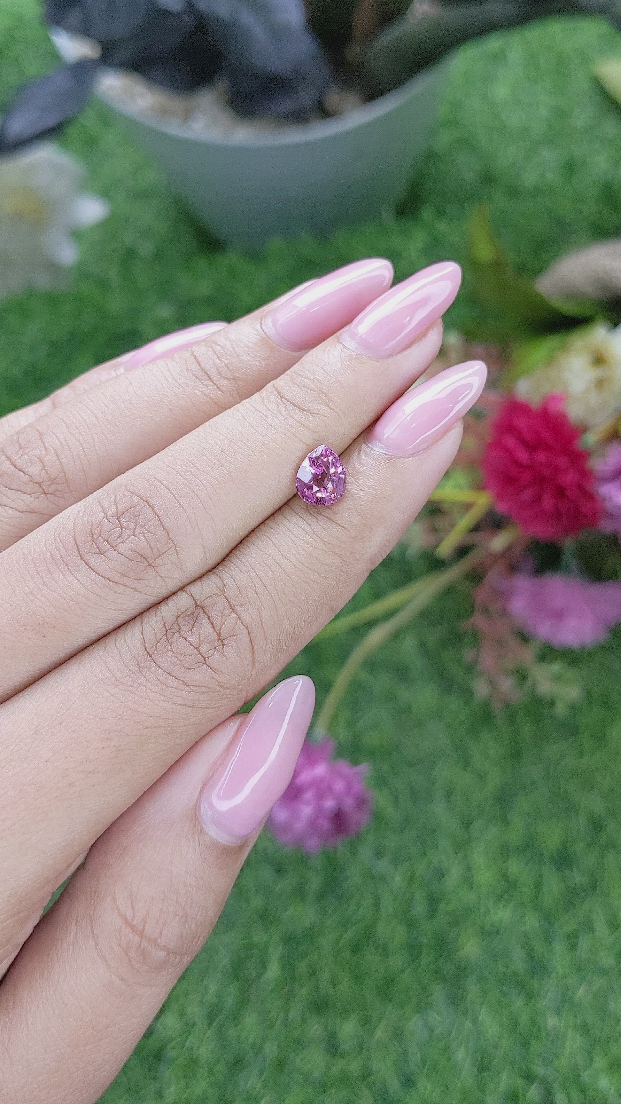 1.47 Ct. Purplish Pink Rhodolite Garnet from Ceylon (Sri Lanka) Size Video