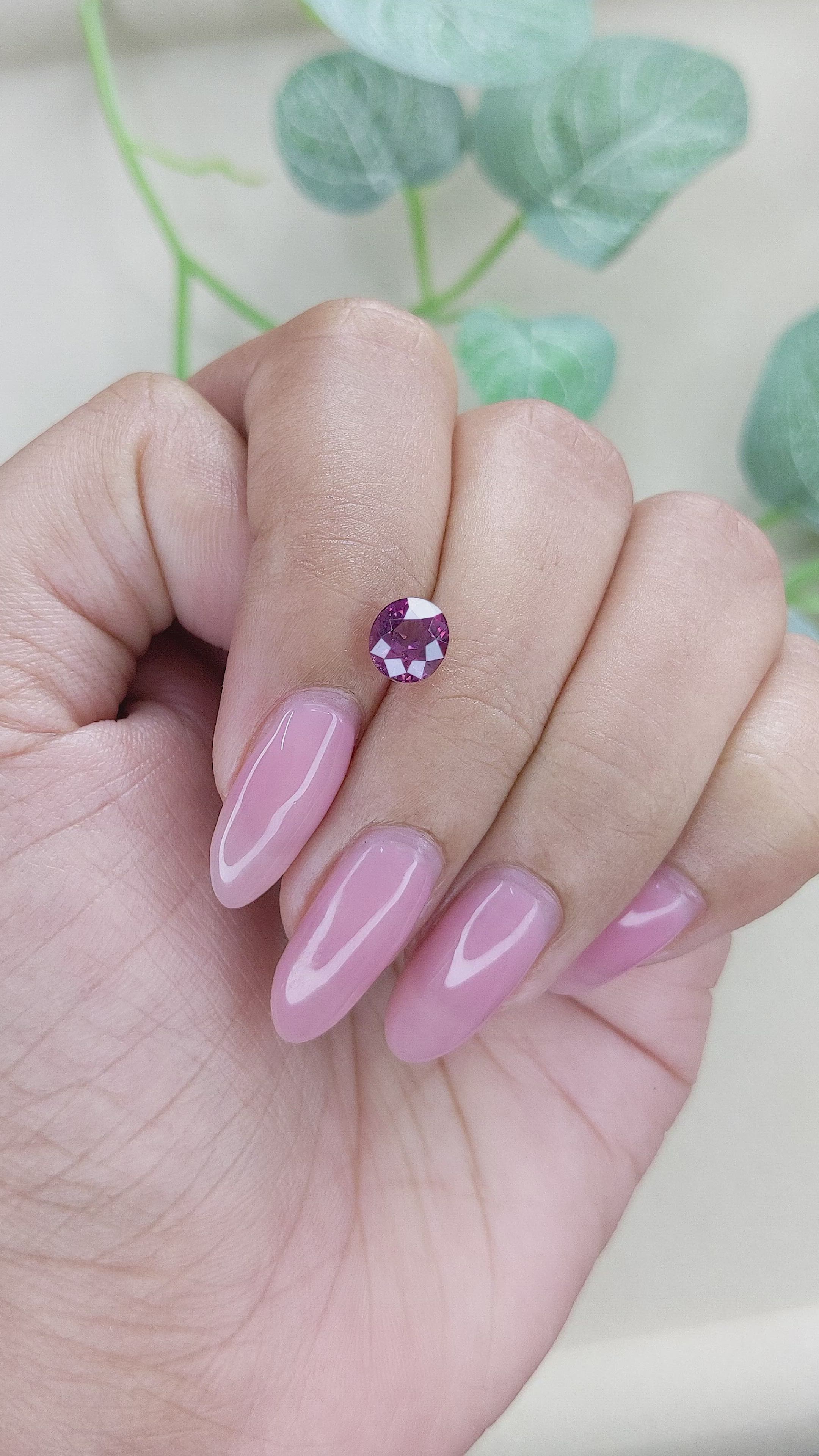 1.64 Ct. Purplish Pink Rhodolite Garnet from Ceylon (Sri Lanka) Size Video