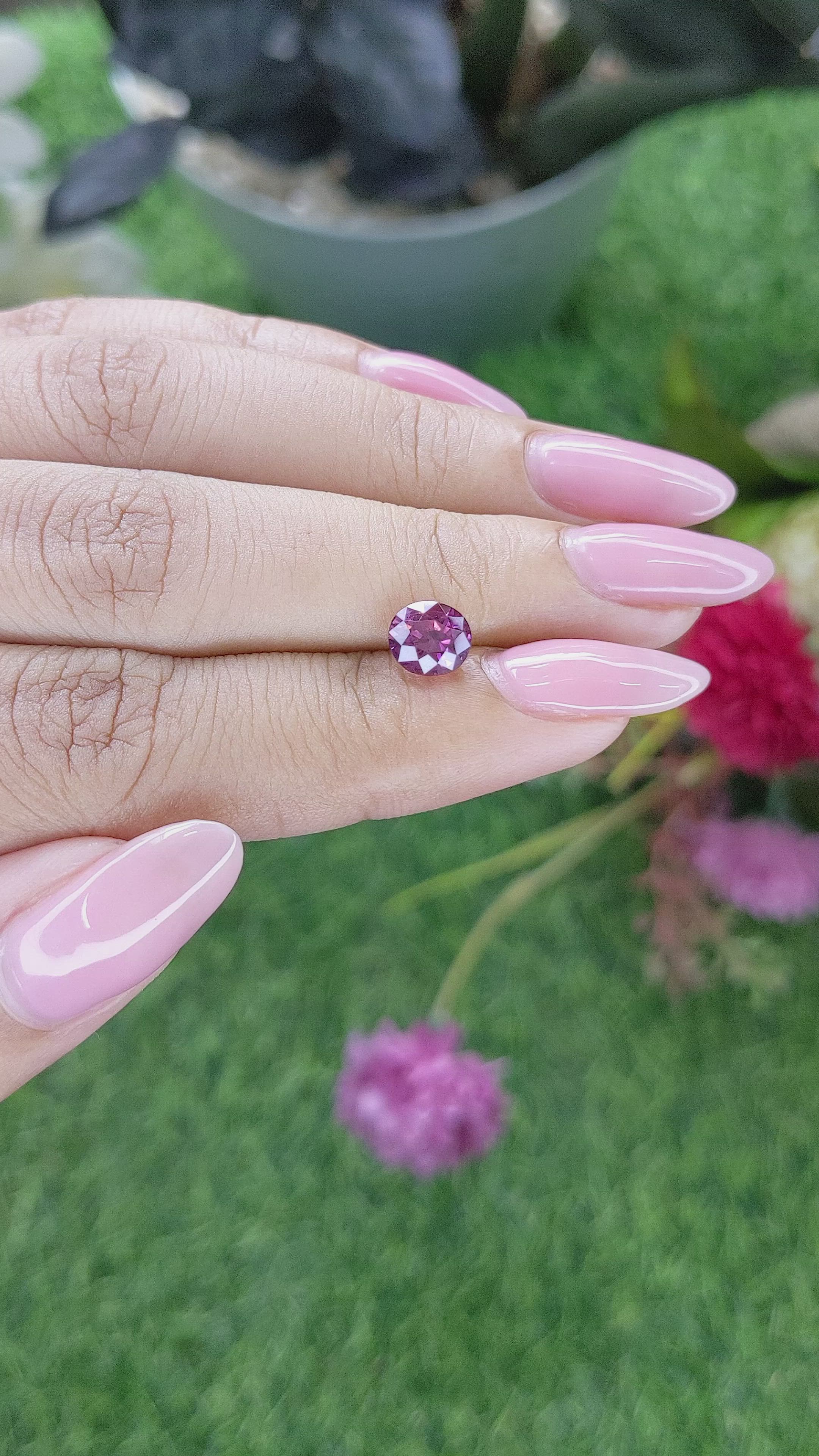 1.64 Ct. Purplish Pink Rhodolite Garnet from Ceylon (Sri Lanka) Size Video