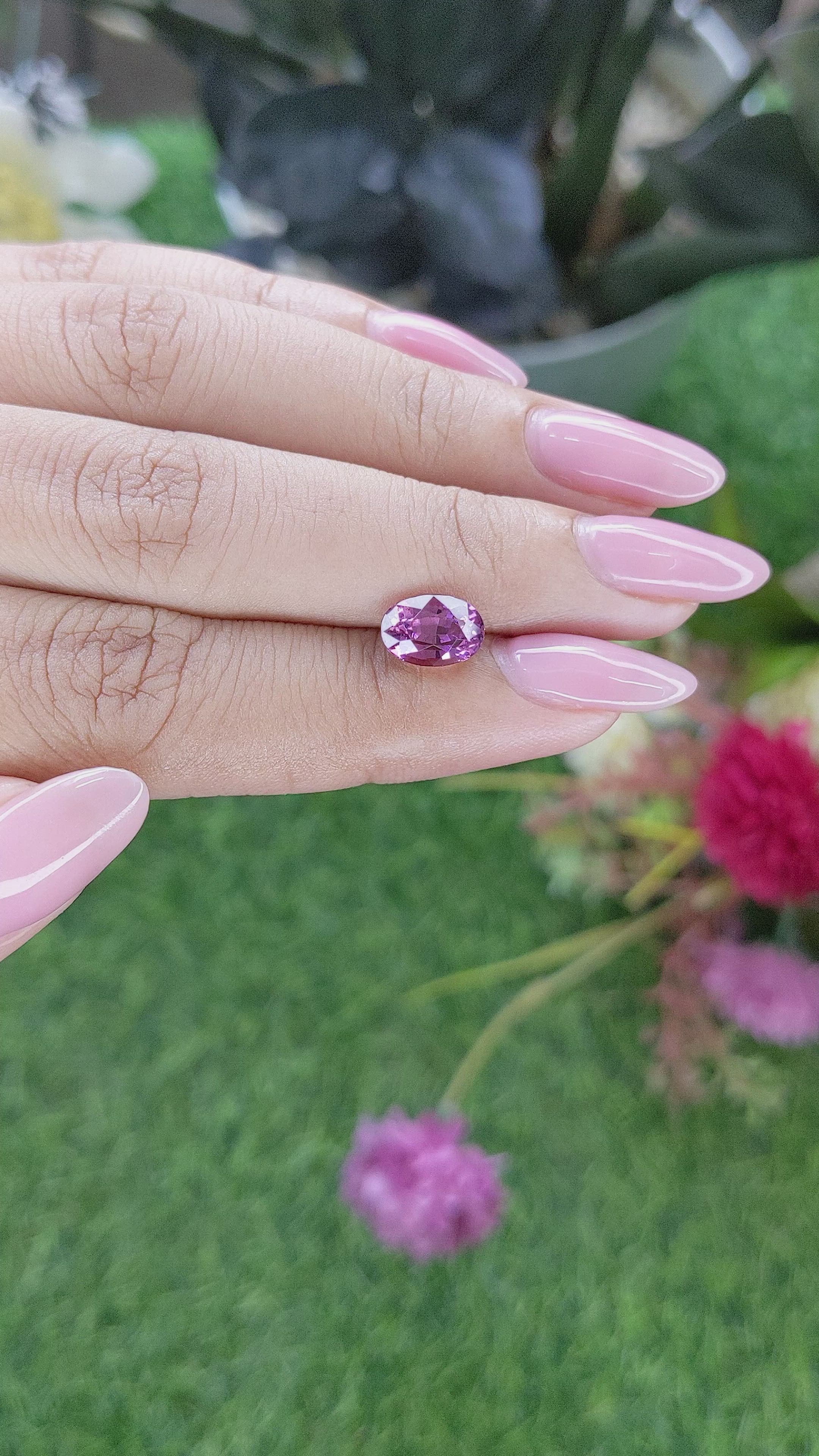 2.14 Ct. Purplish Pink Rhodolite Garnet from Ceylon (Sri Lanka) Size Video