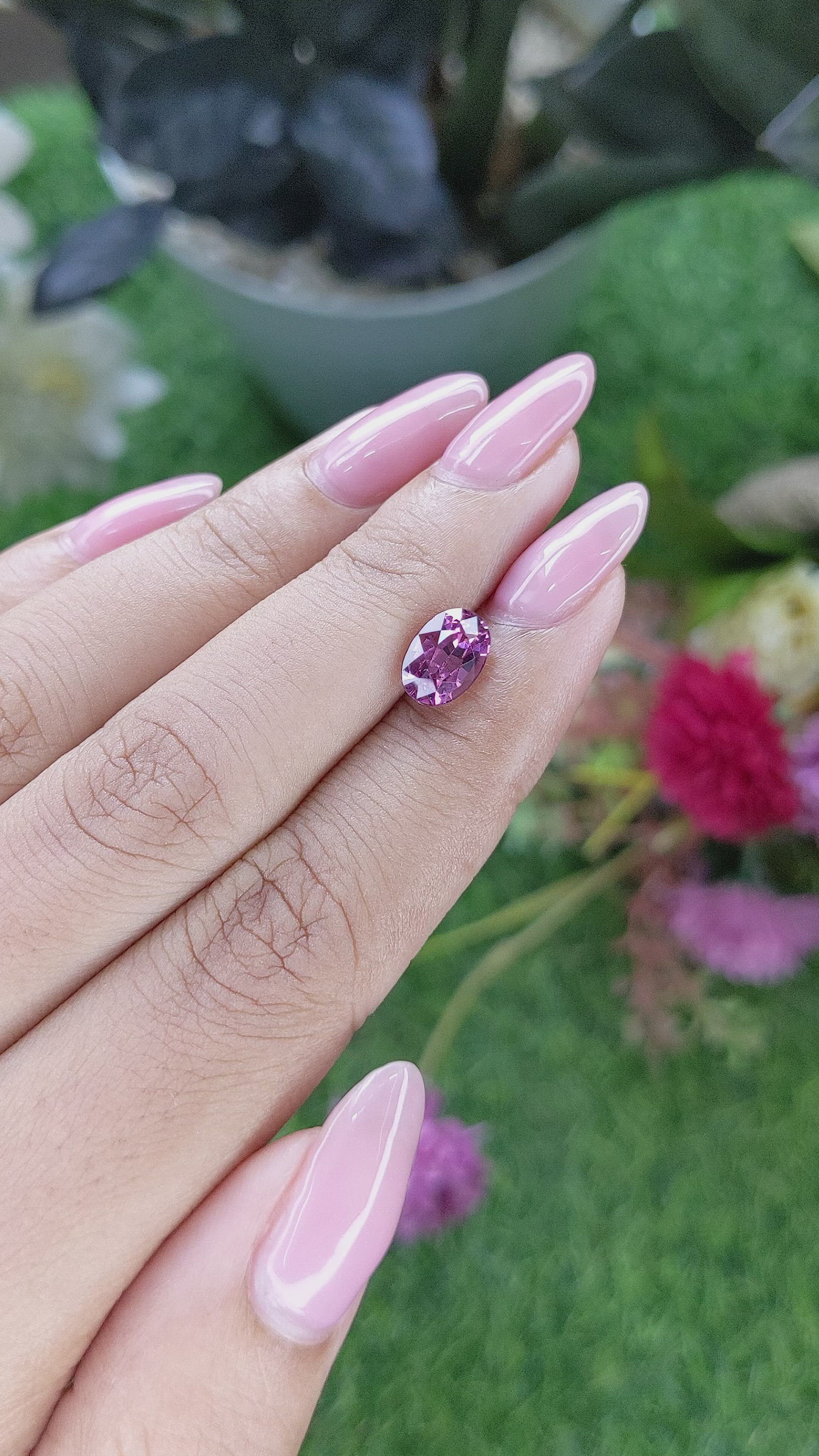2.14 Ct. Purplish Pink Rhodolite Garnet from Ceylon (Sri Lanka) Size Video