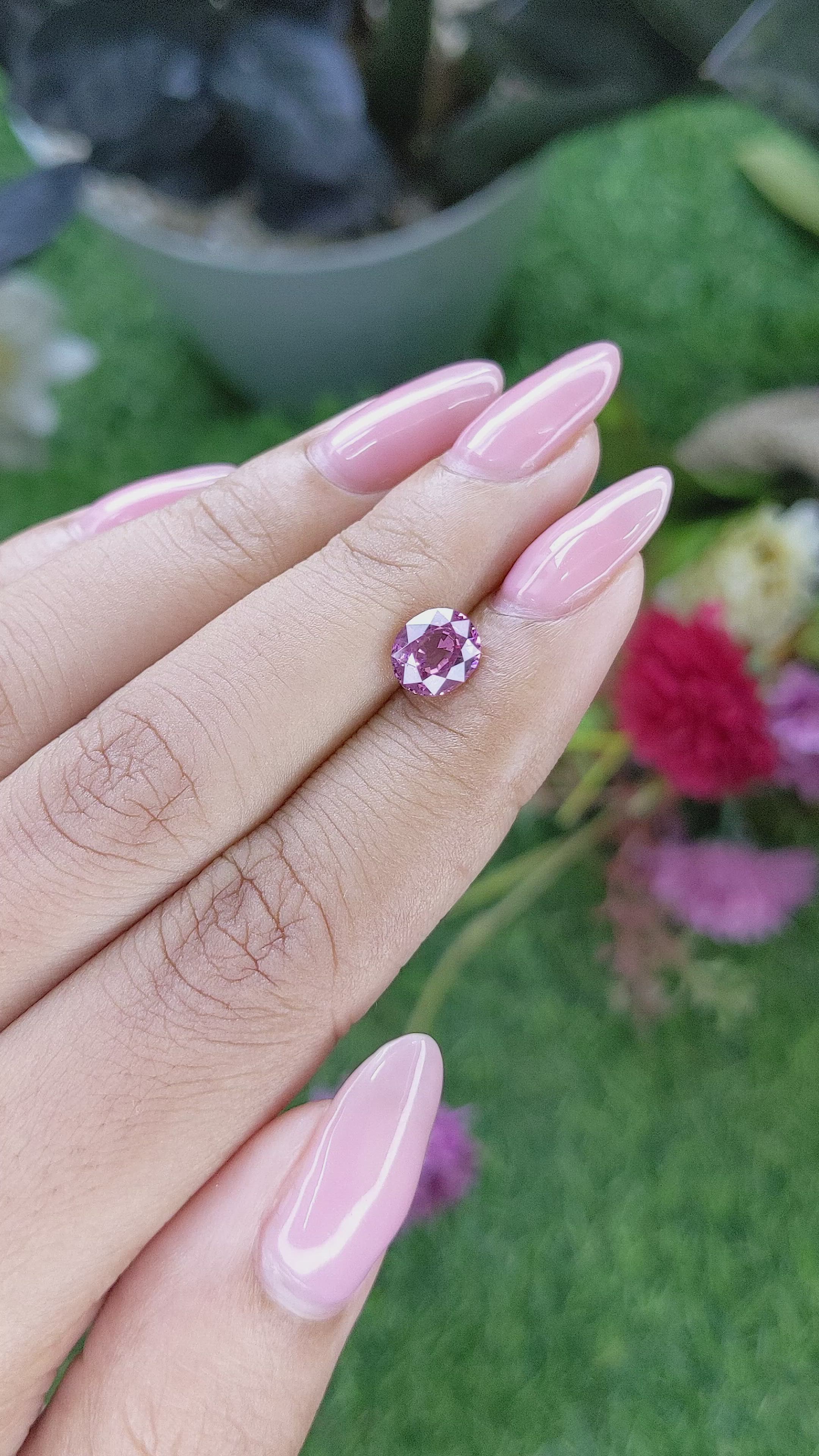 1.51 Ct. Purplish Pink Rhodolite Garnet from Ceylon (Sri Lanka) Size Video
