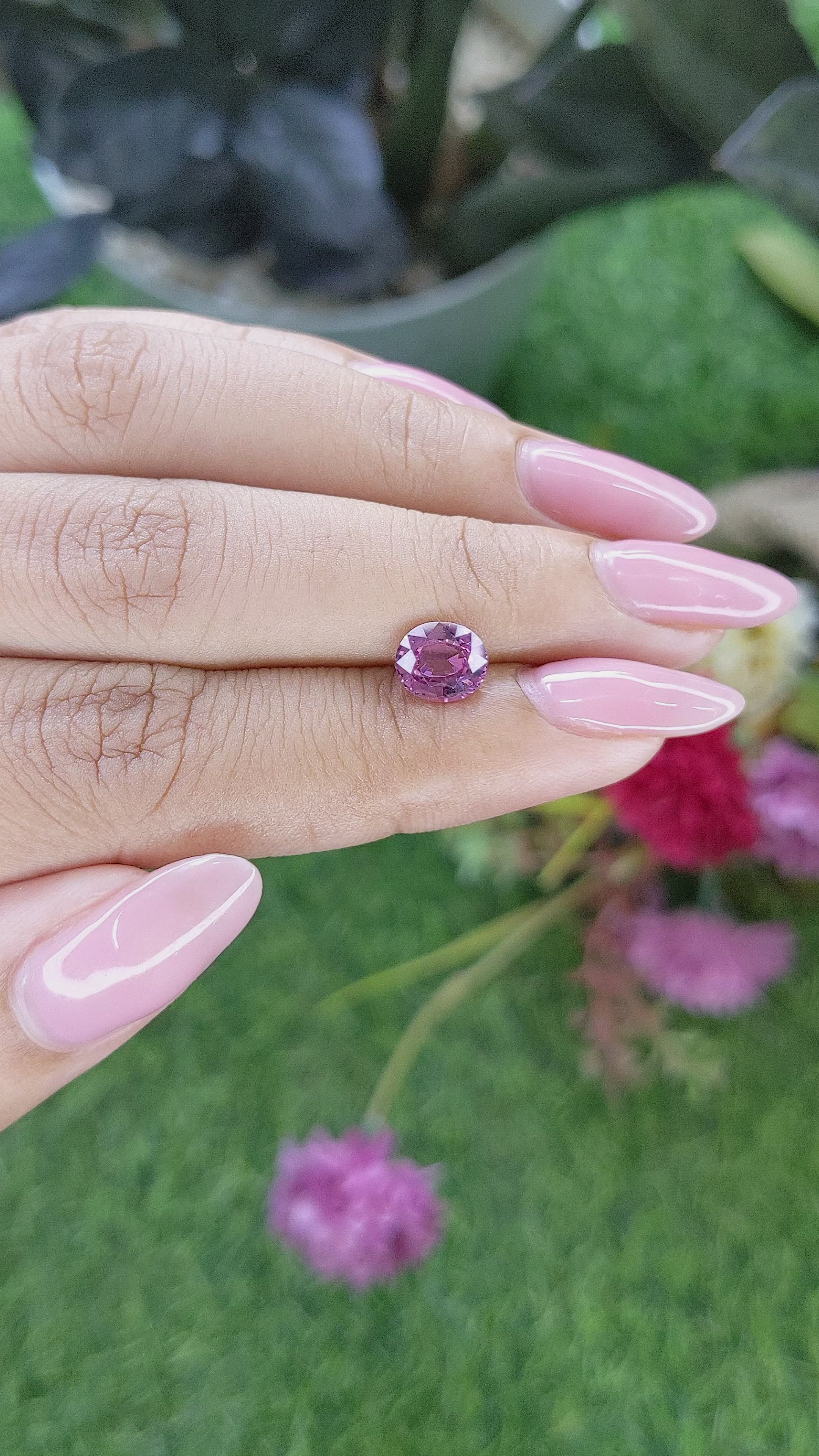 1.51 Ct. Purplish Pink Rhodolite Garnet from Ceylon (Sri Lanka) Size Video