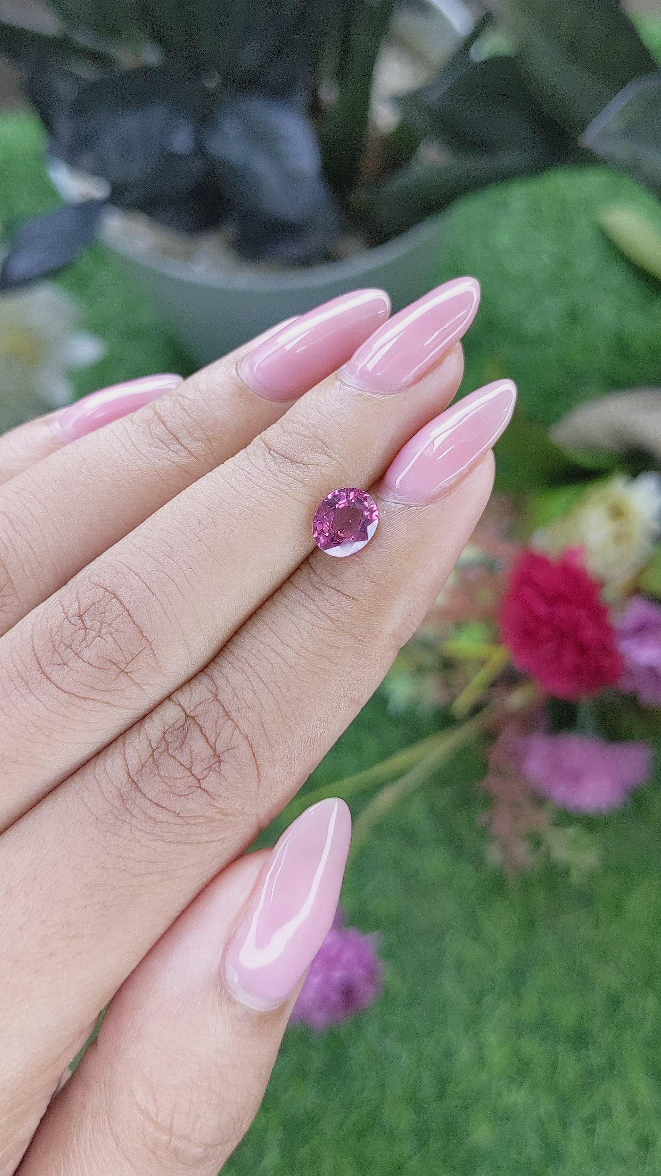 1.26 Ct. Purplish Pink Rhodolite Garnet from Ceylon (Sri Lanka) Size Video