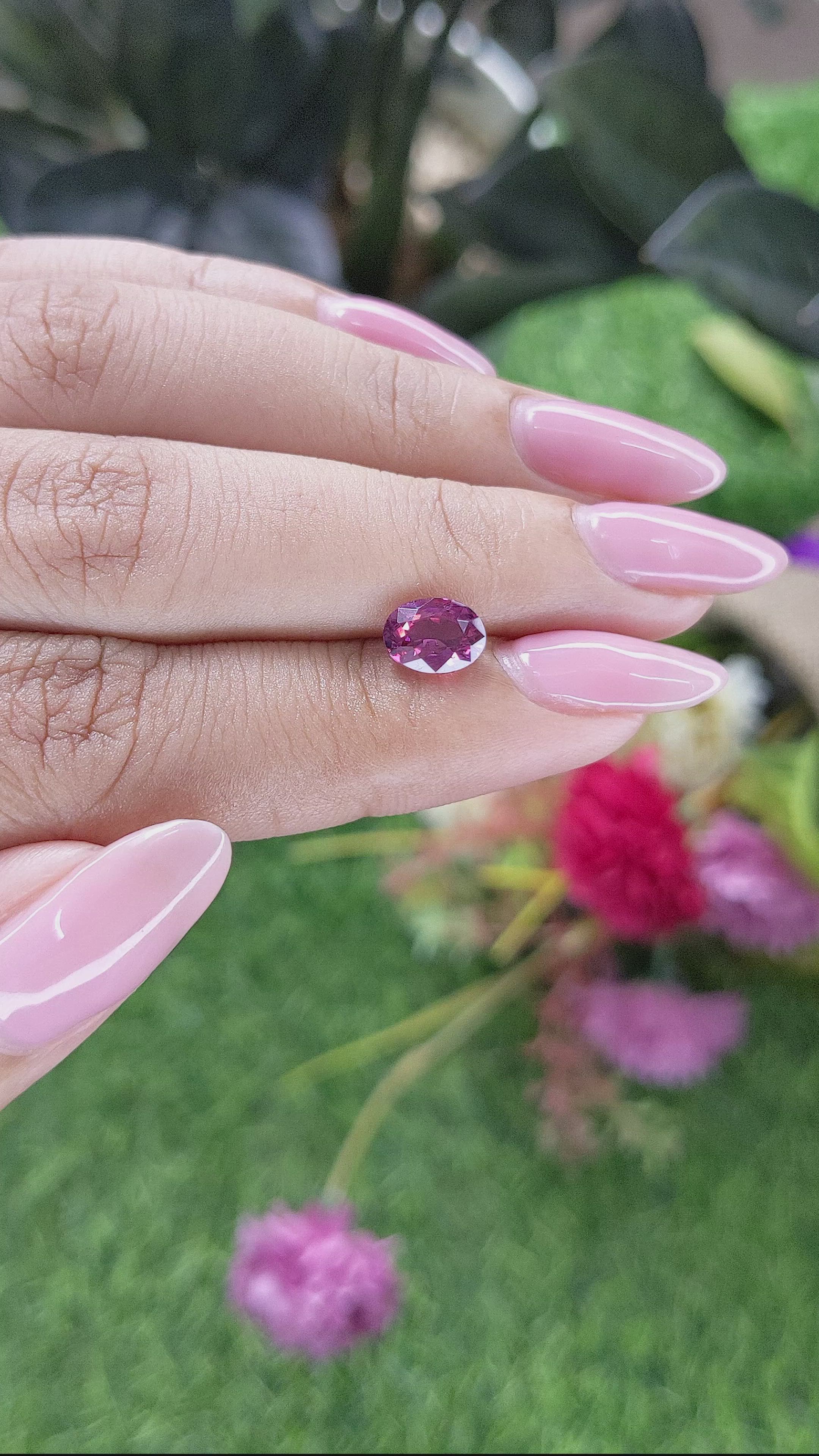 1.57 Ct. Purplish Pink Rhodolite Garnet from Ceylon (Sri Lanka) Size Video